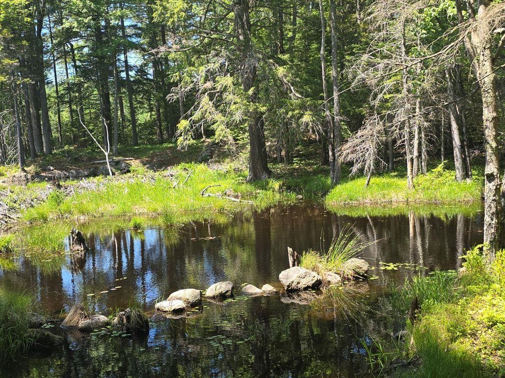 Baine Rd, Alstead, NH 03602