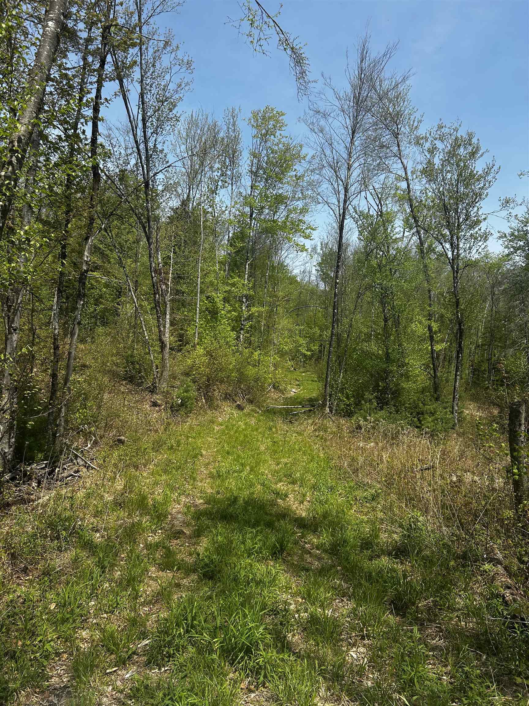 Baine Rd, Alstead, NH 03602