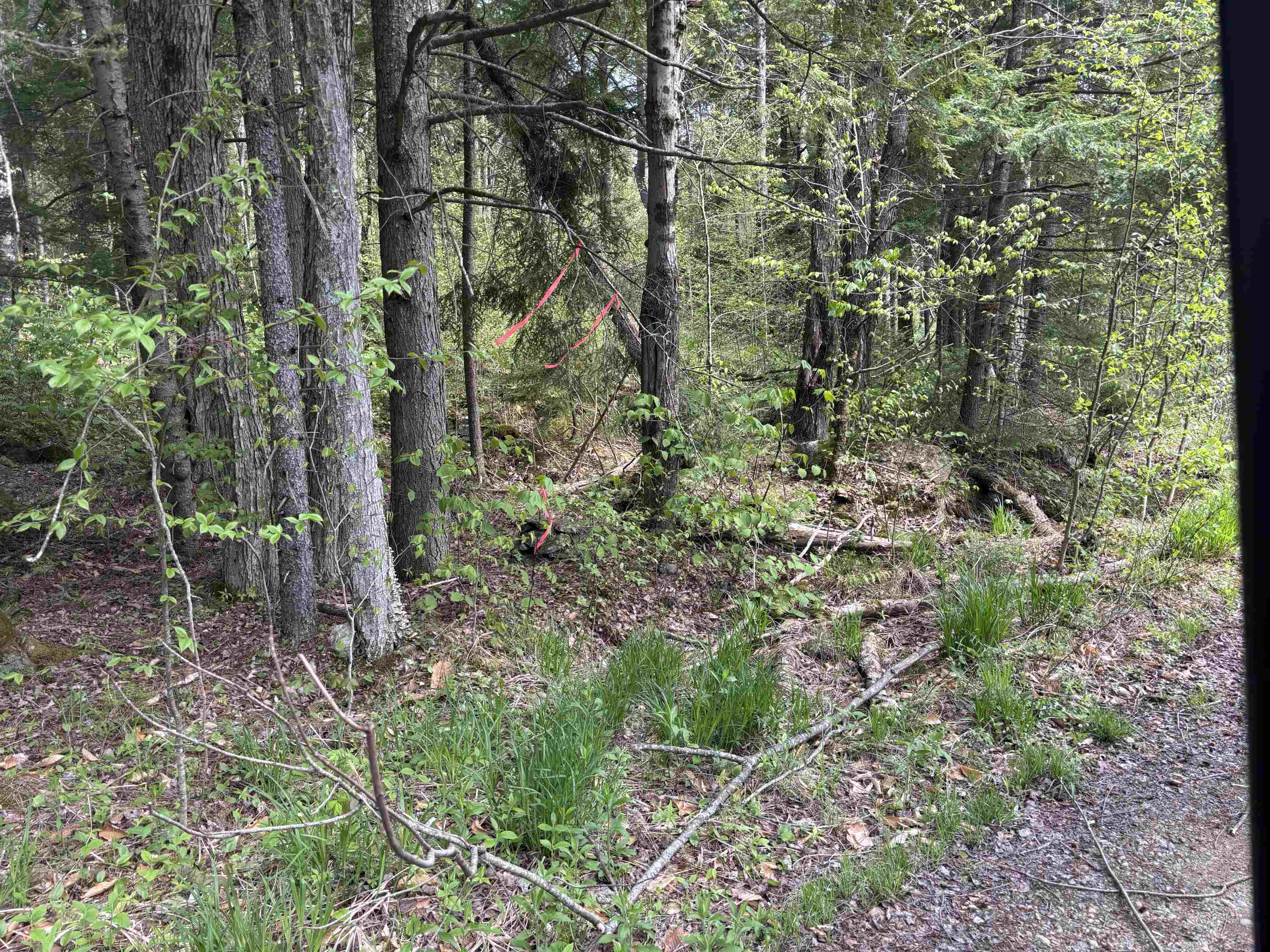 Baine Rd, Alstead, NH 03602