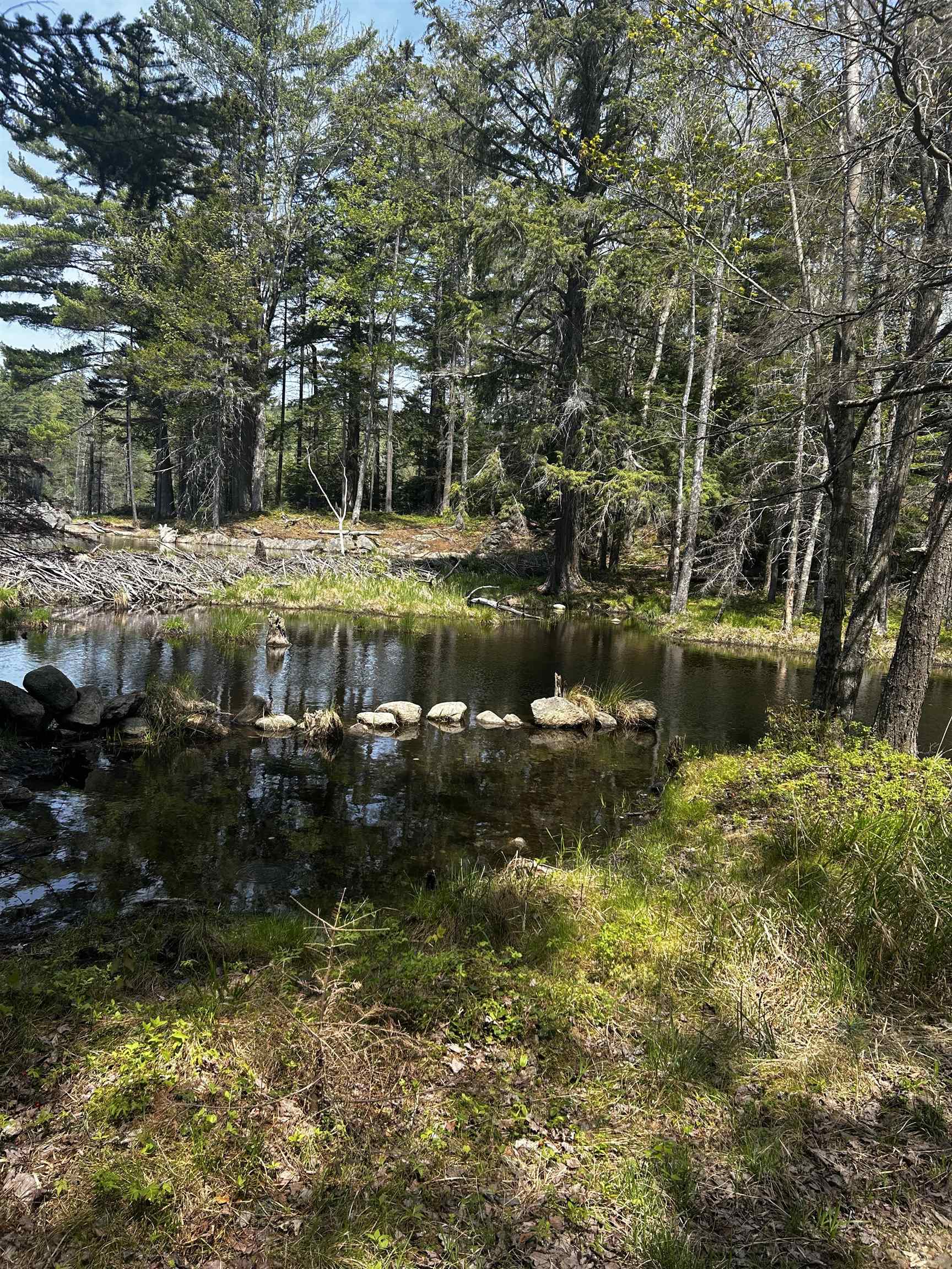 Baine Rd, Alstead, NH 03602