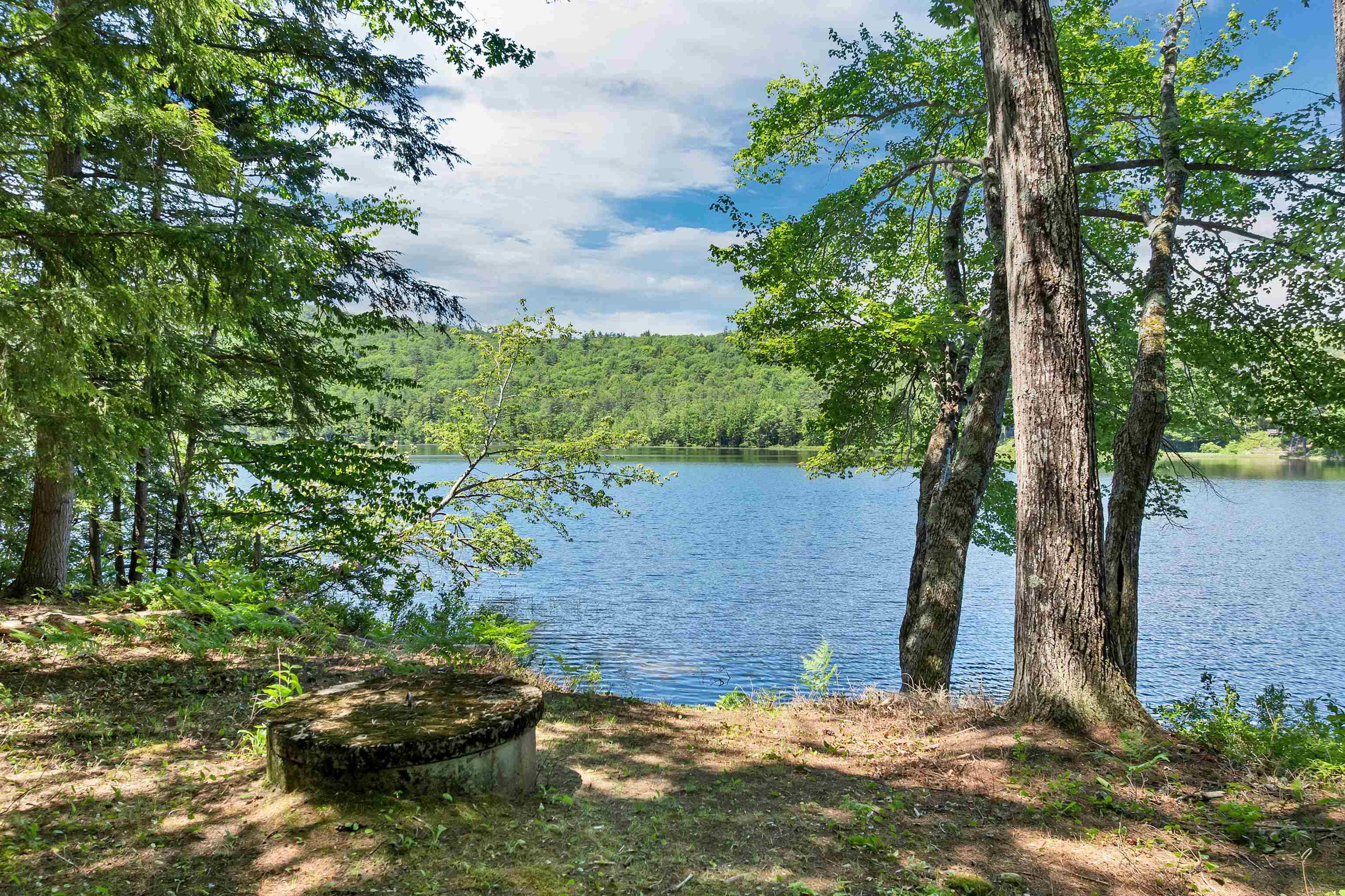View of the Pond