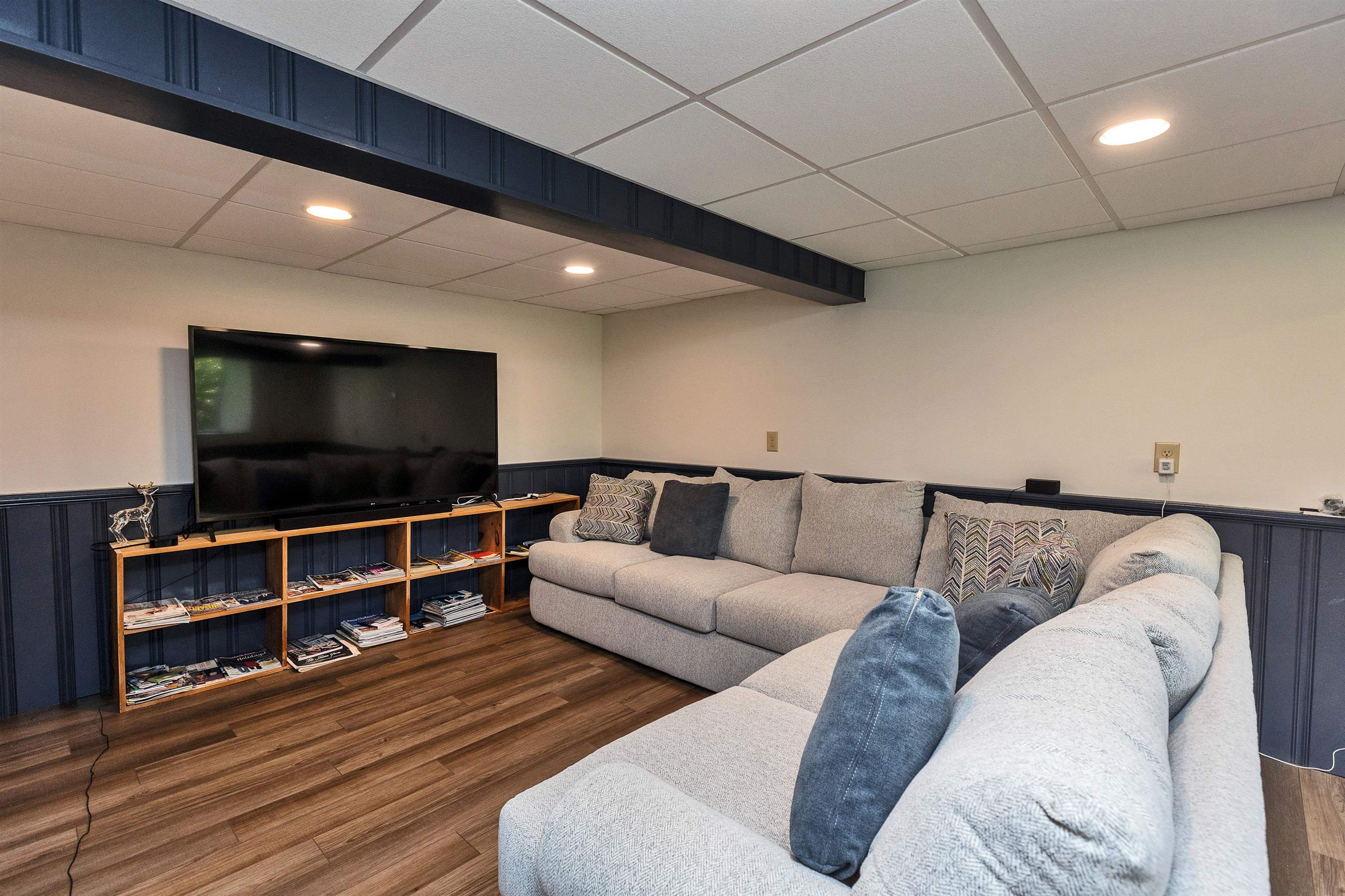 Lower level media room