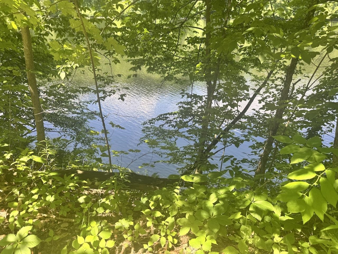 River Frontage
