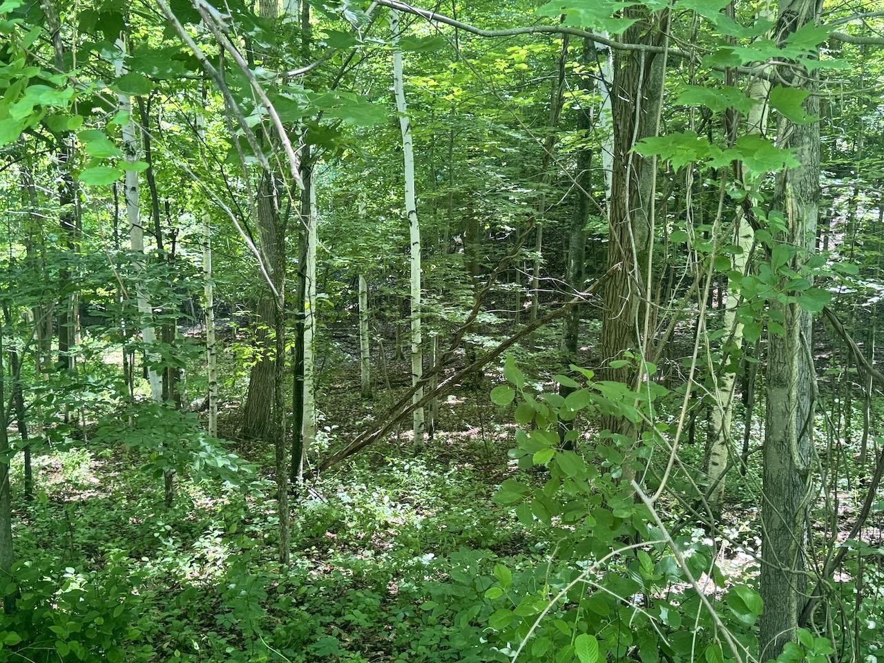 Open Up For A Perfect Home Lot