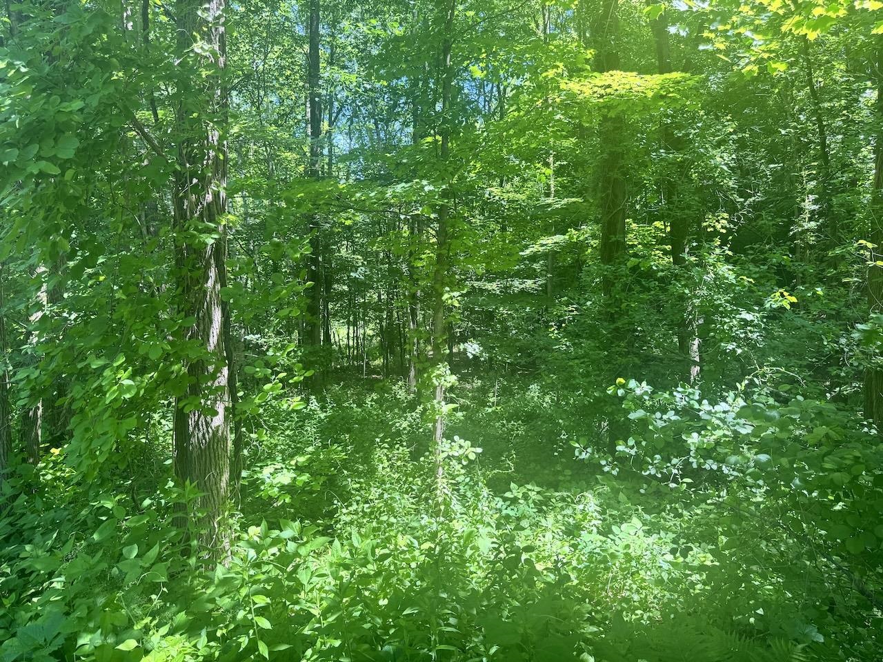 00 Mountain Rd, Chesterfield, NH 03466