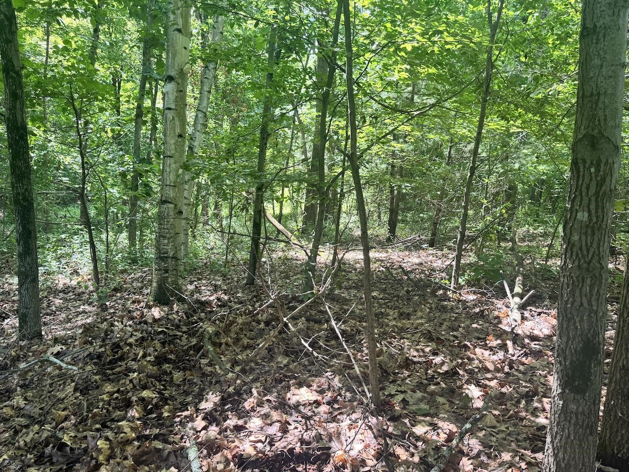 2.11 Acres Level Road Side With Ledge Buffer Along The Back