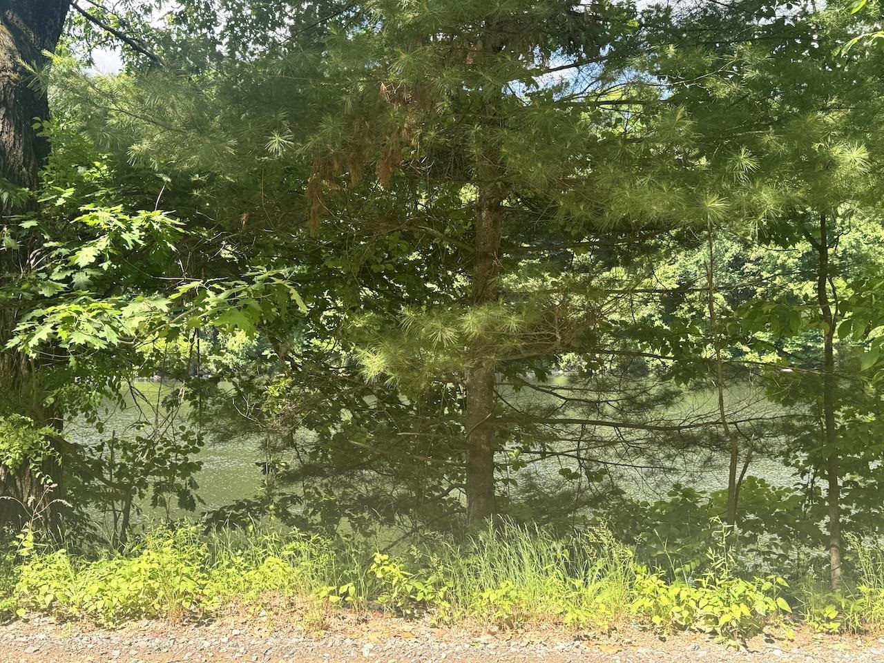 00 Mountain Rd, Chesterfield, NH 03466