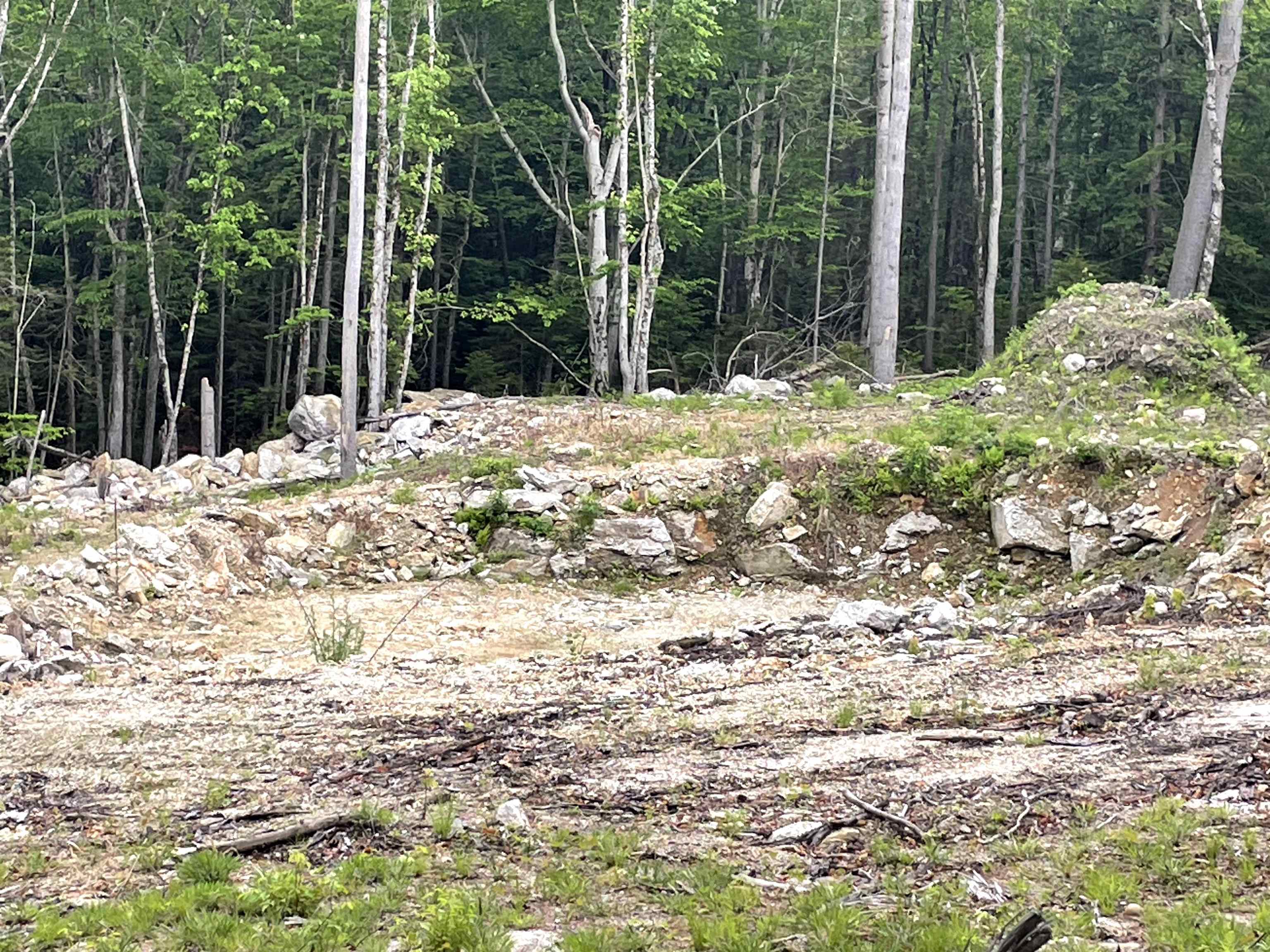 40 Hominy Pot Rd, Sutton, NH 03221