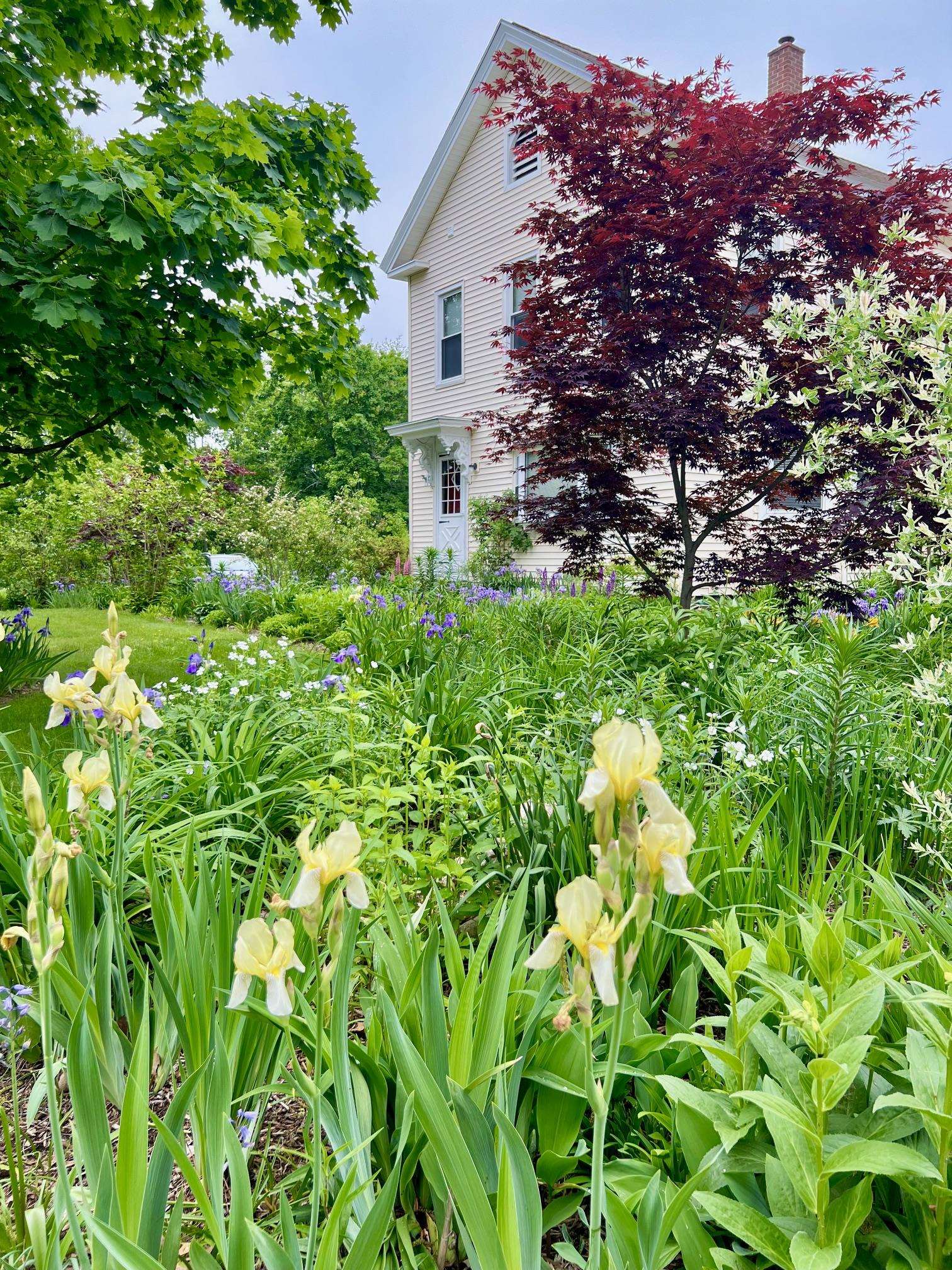 29 Spaulding St, Milford, NH 03055