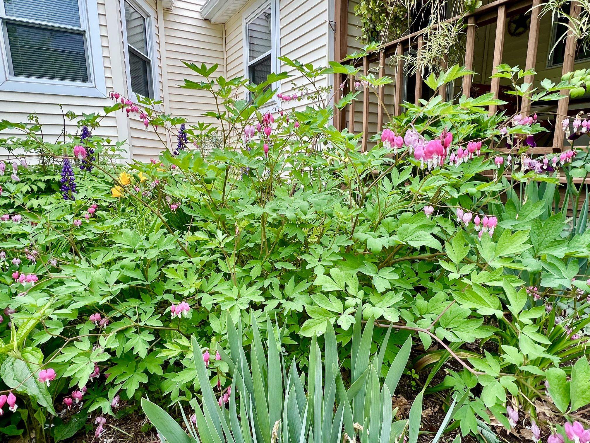 29 Spaulding St, Milford, NH 03055