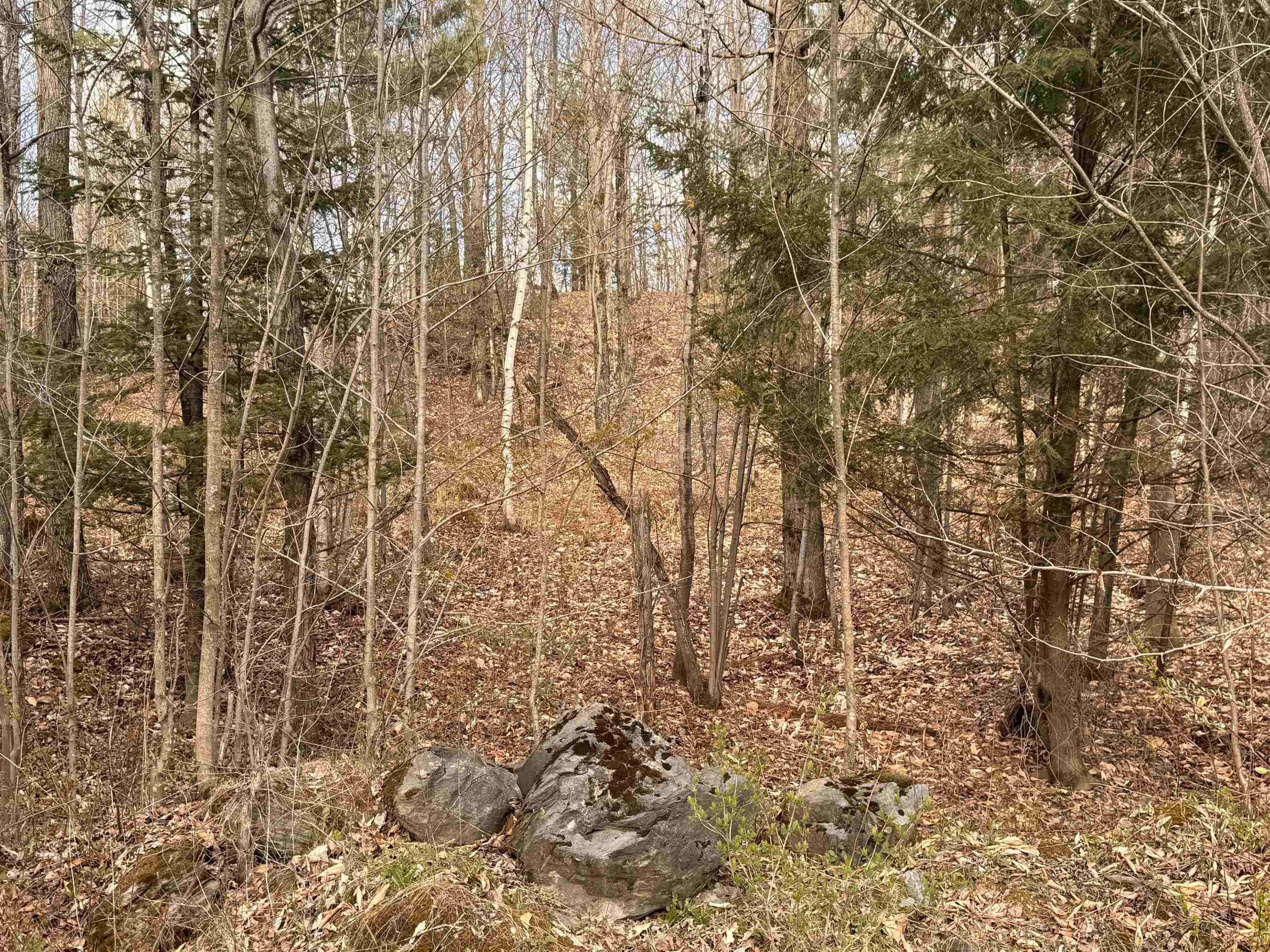 Homes for sale in Berkshire, VT | 3a Reservoir Rd, Berkshire, VT 05450 | MLS# 5094325
