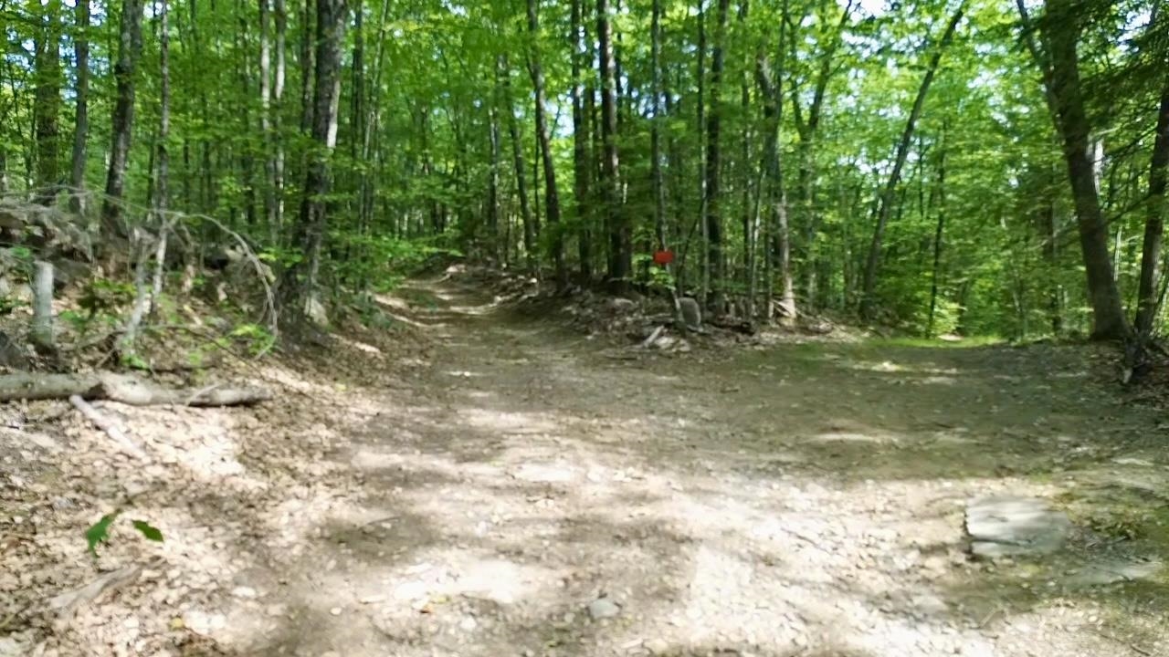 000 Center Rd, Lyndeborough, NH 03082