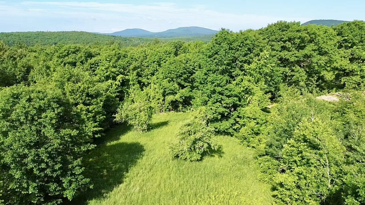 00 Center Rd, Lyndeborough, NH 03082