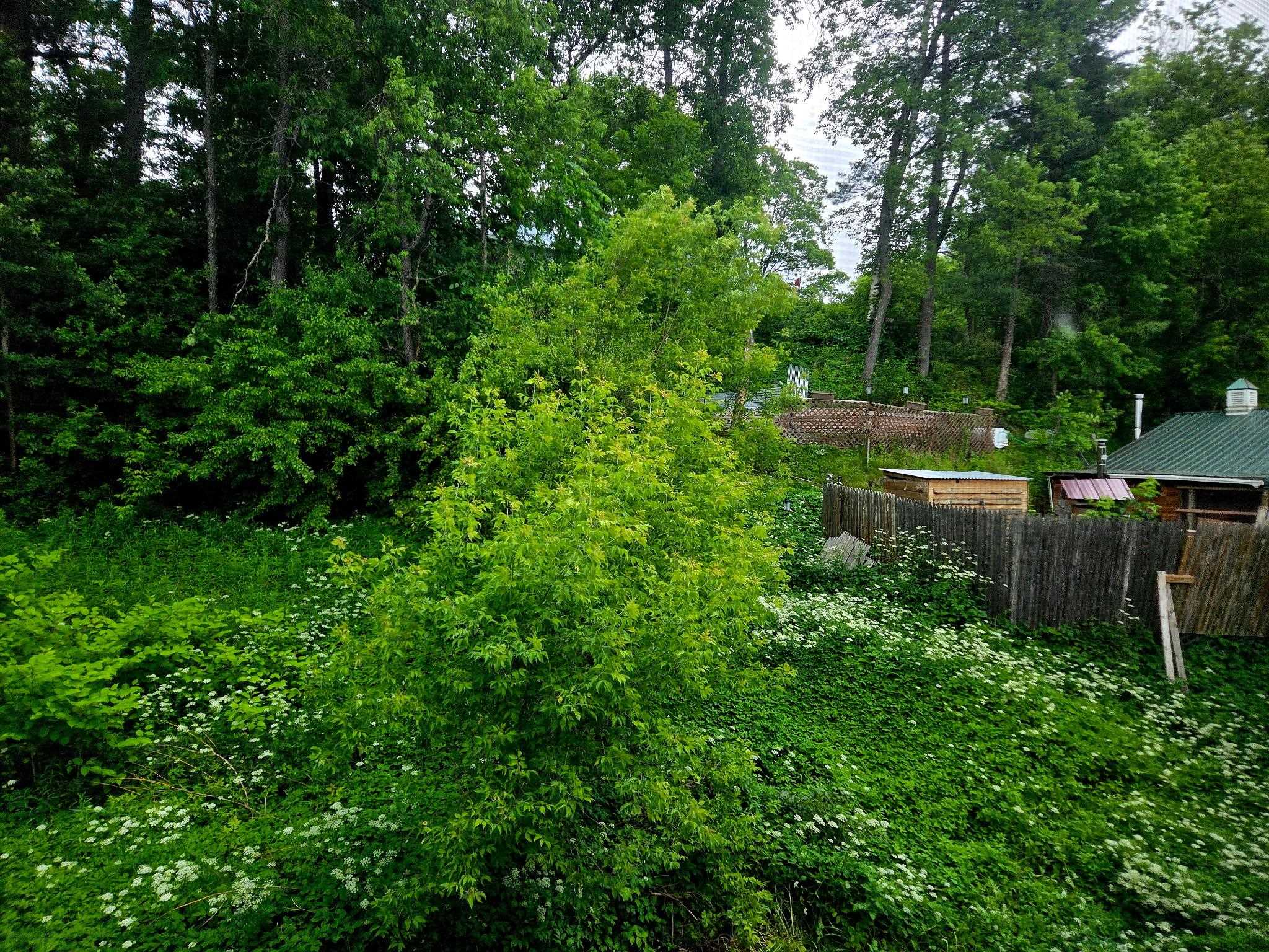 50 Brown St, Whitefield, NH 03598