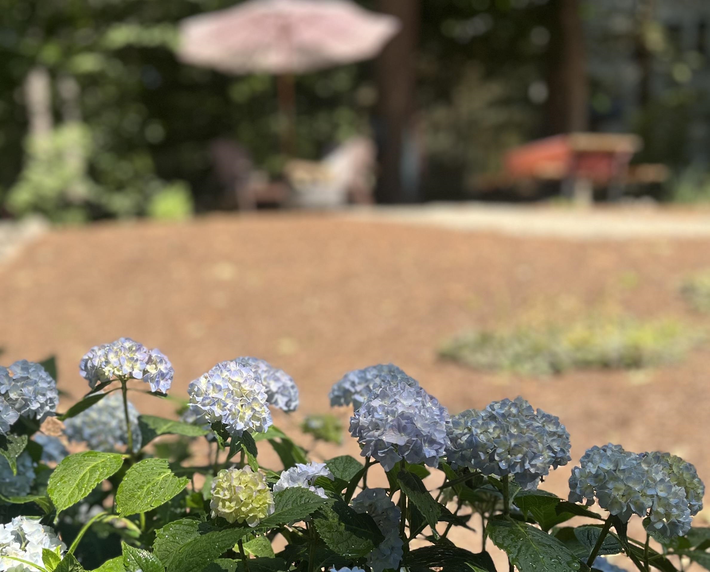56 Kings Pine Rd, Wolfeboro, NH 03894