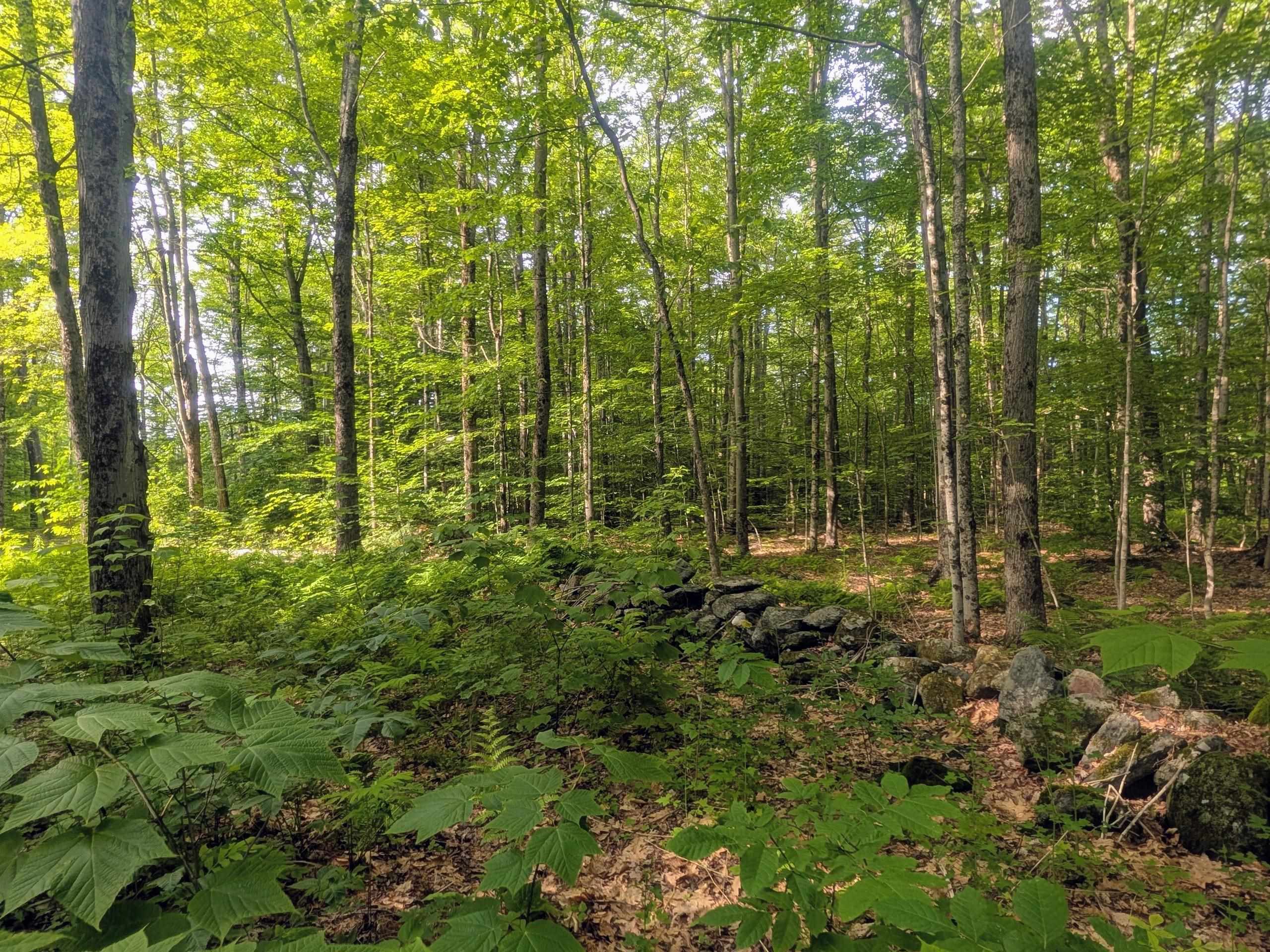Acworth Rd, Charlestown, NH 03603