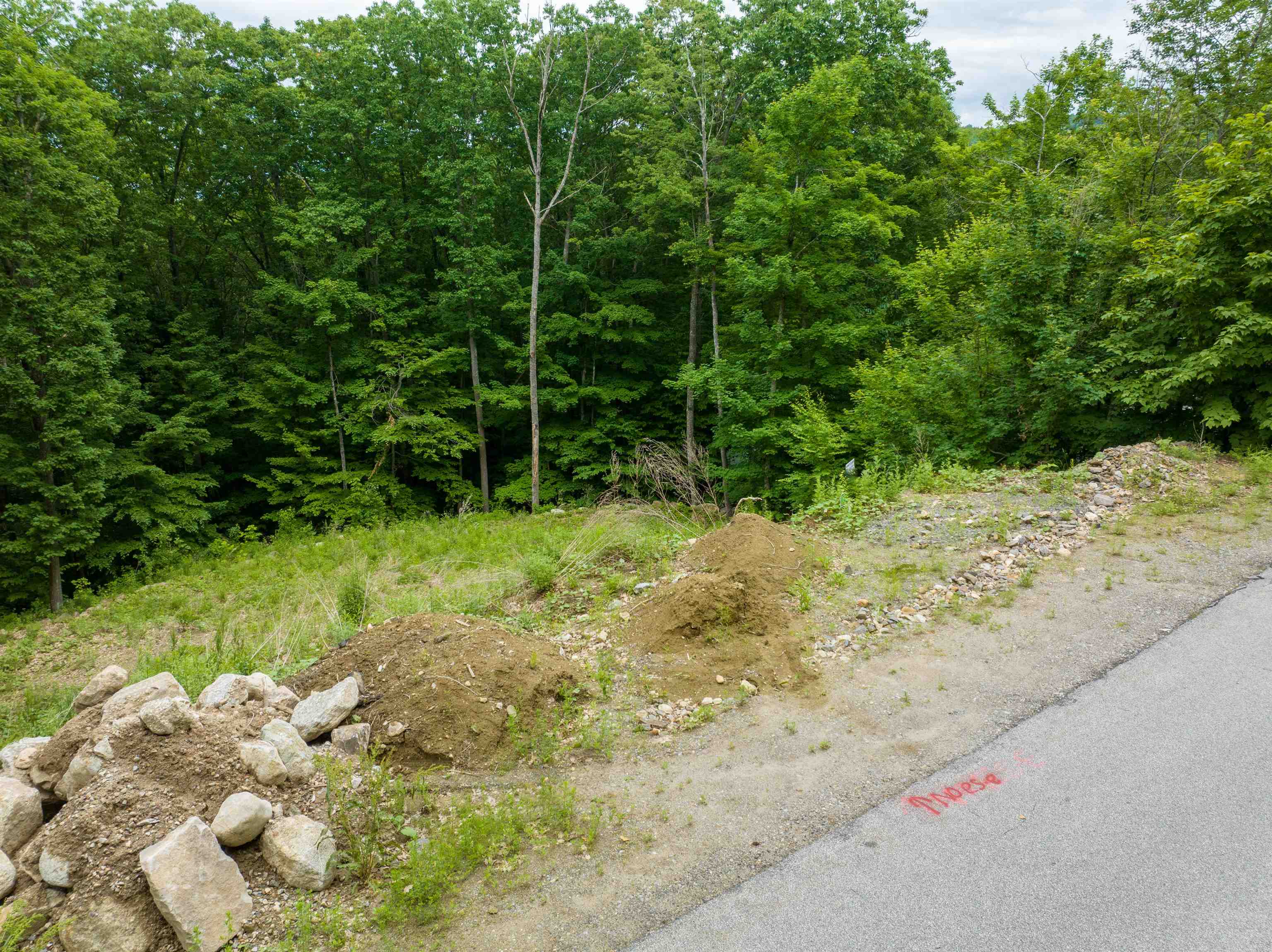 30 Greenleaf Trl, Gilford, NH 03249