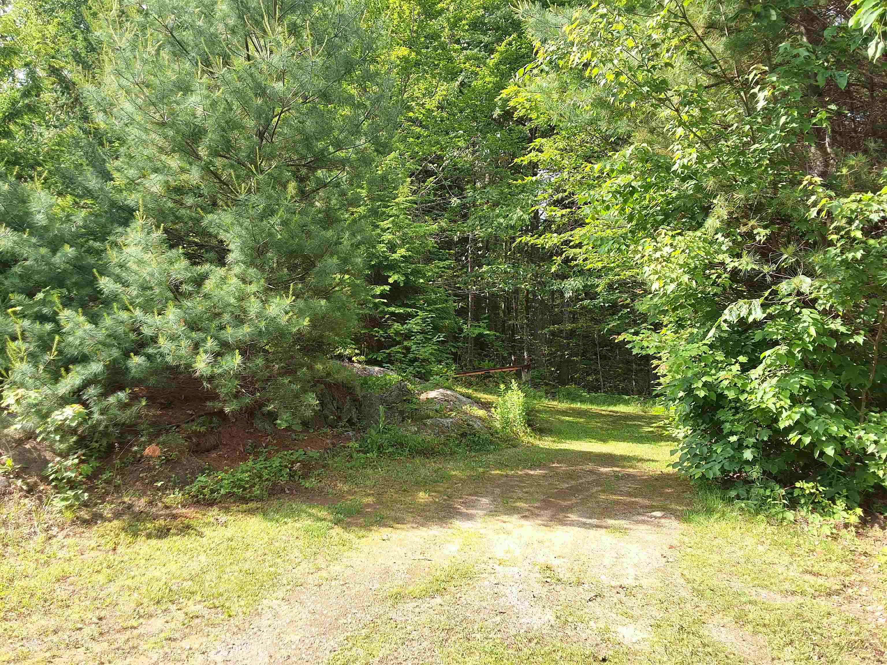 82 Detour Rd, Webster, NH 03303