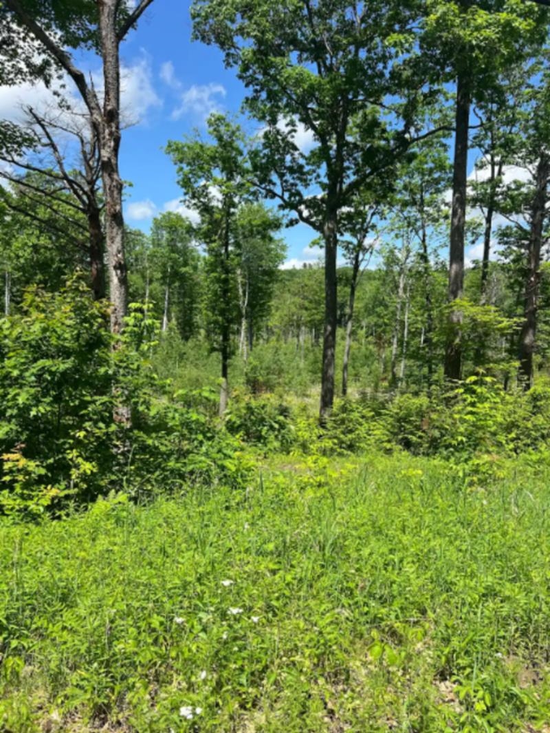 00 Corno Road And Canaan St, Canaan, NH 03741