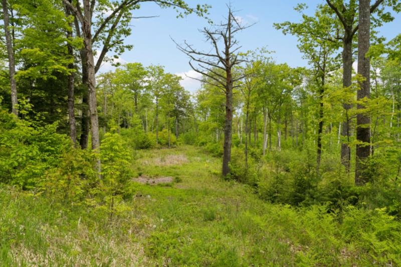 00 Corno Road And Canaan St, Canaan, NH 03741
