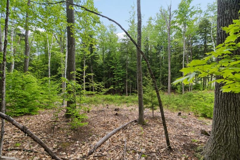 00 Corno Road And Canaan St, Canaan, NH 03741