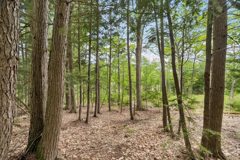00 Corno Road And Canaan St, Canaan, NH 03741