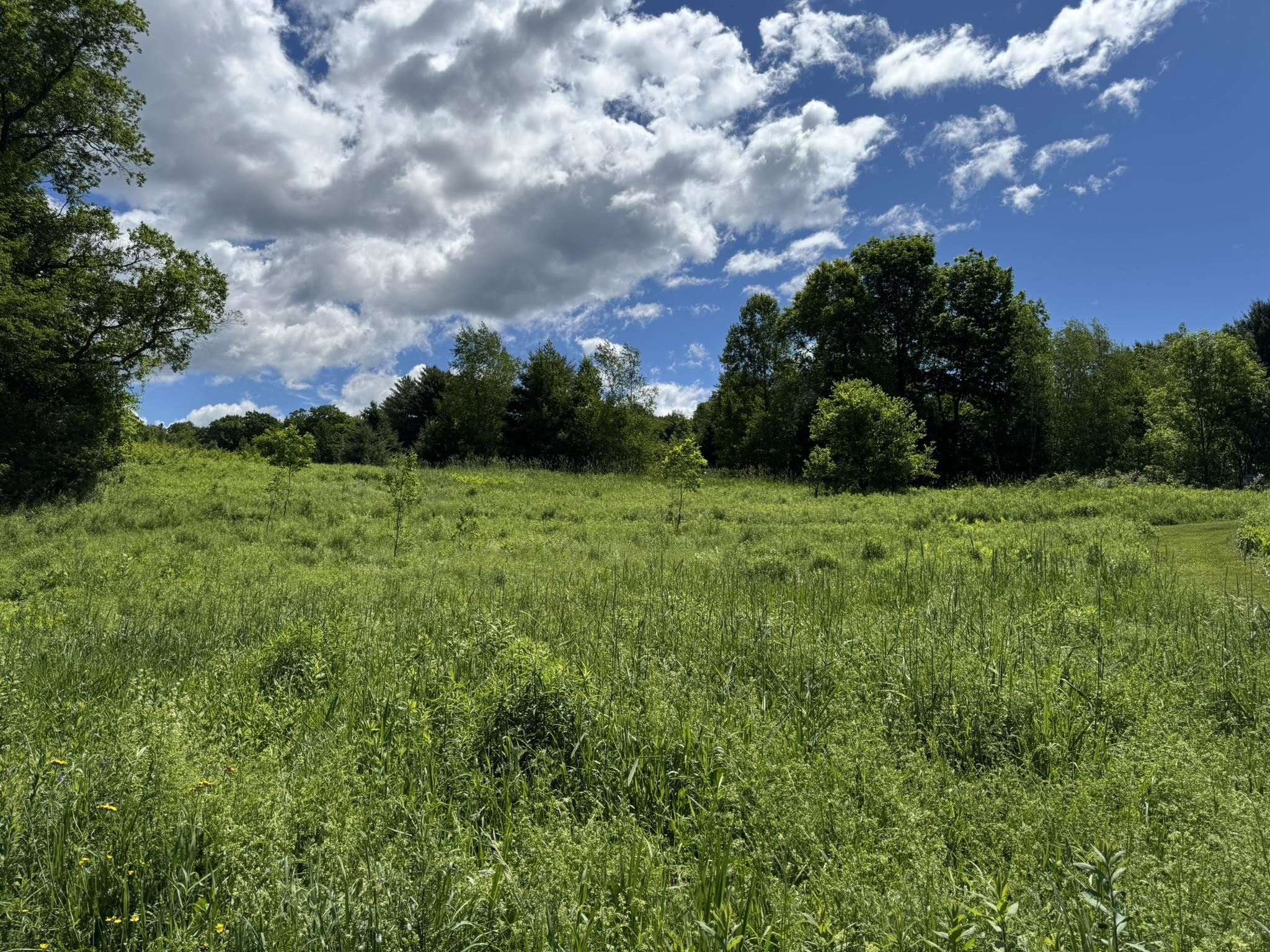 Homes for sale in Stowe, VT | 0 Old Farm Rd, Stowe, VT 05672 | MLS# 5094476