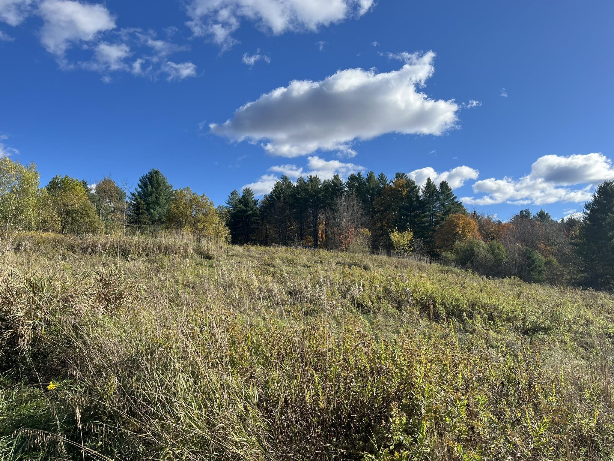 Homes for sale in Stowe, VT | 0 Old Farm Rd, Stowe, VT 05672 | MLS# 5094476
