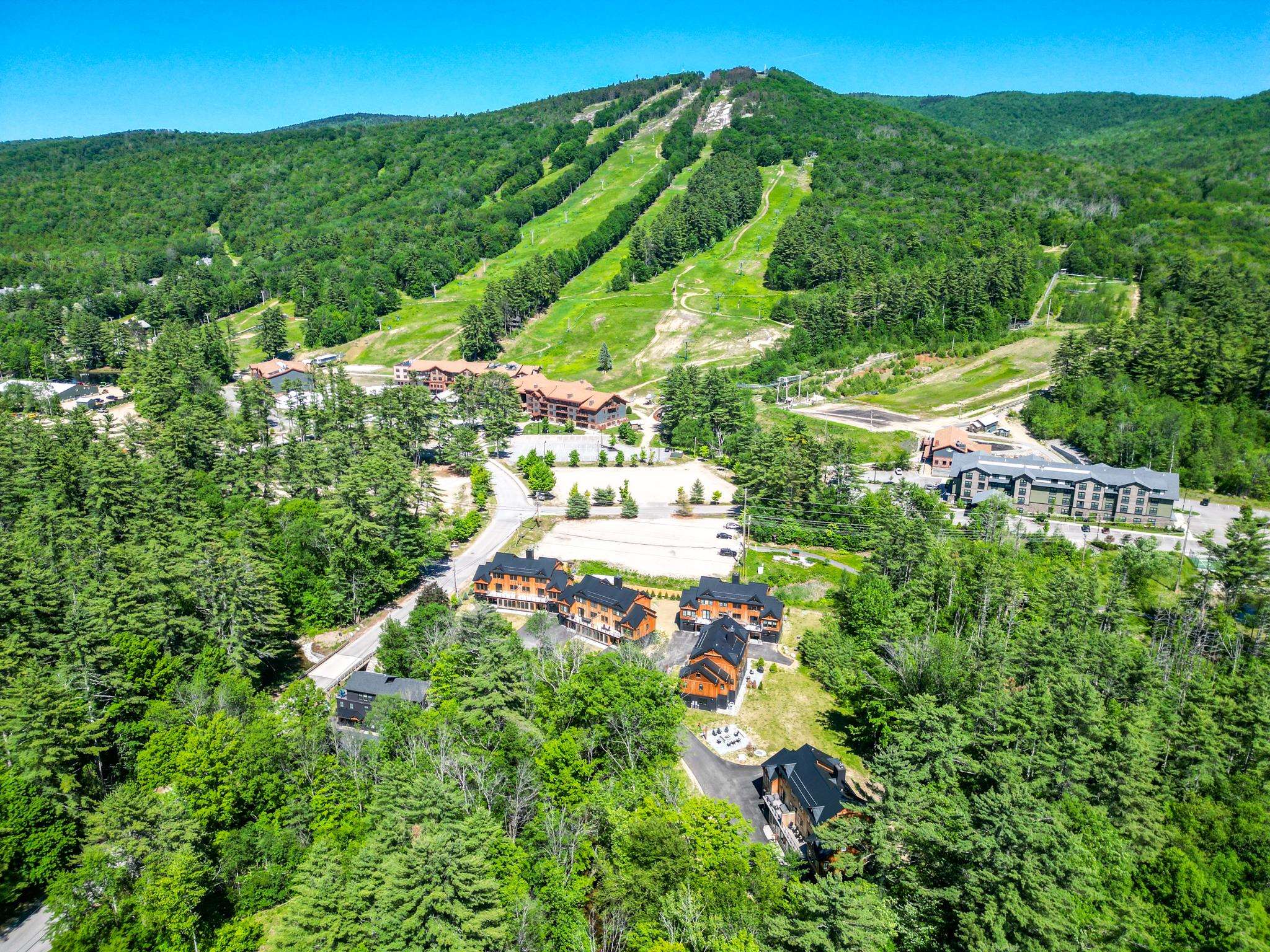 7 Black Diamond Rd, Conway, NH 03860
