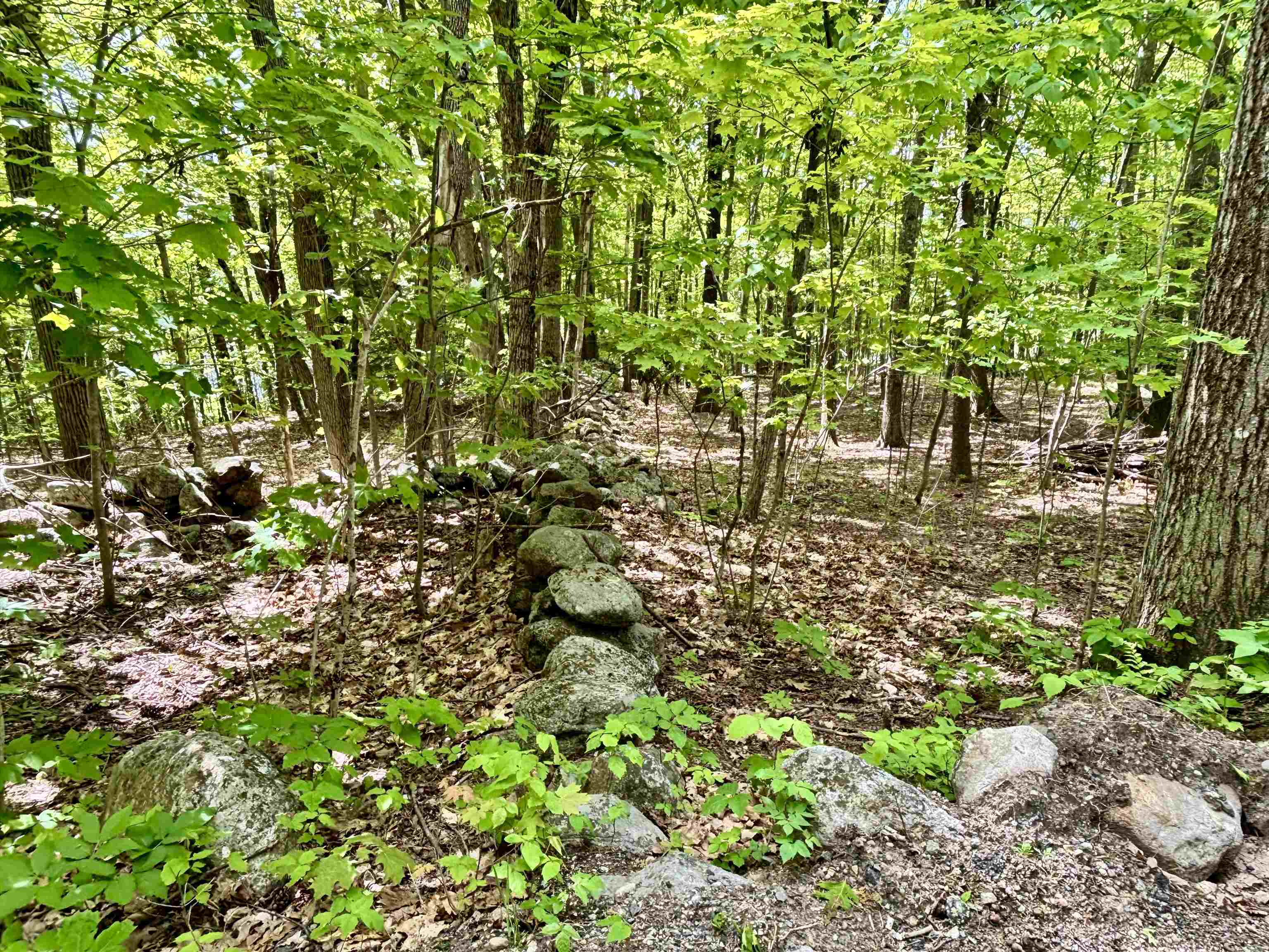 182 Perry Rd, New Ipswich, NH 03071