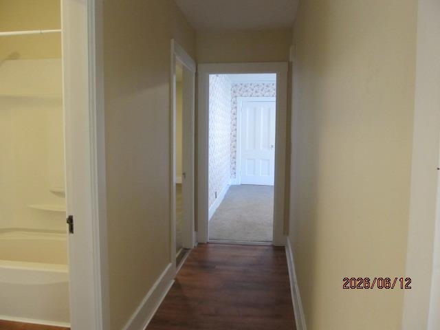 Hall 25524583