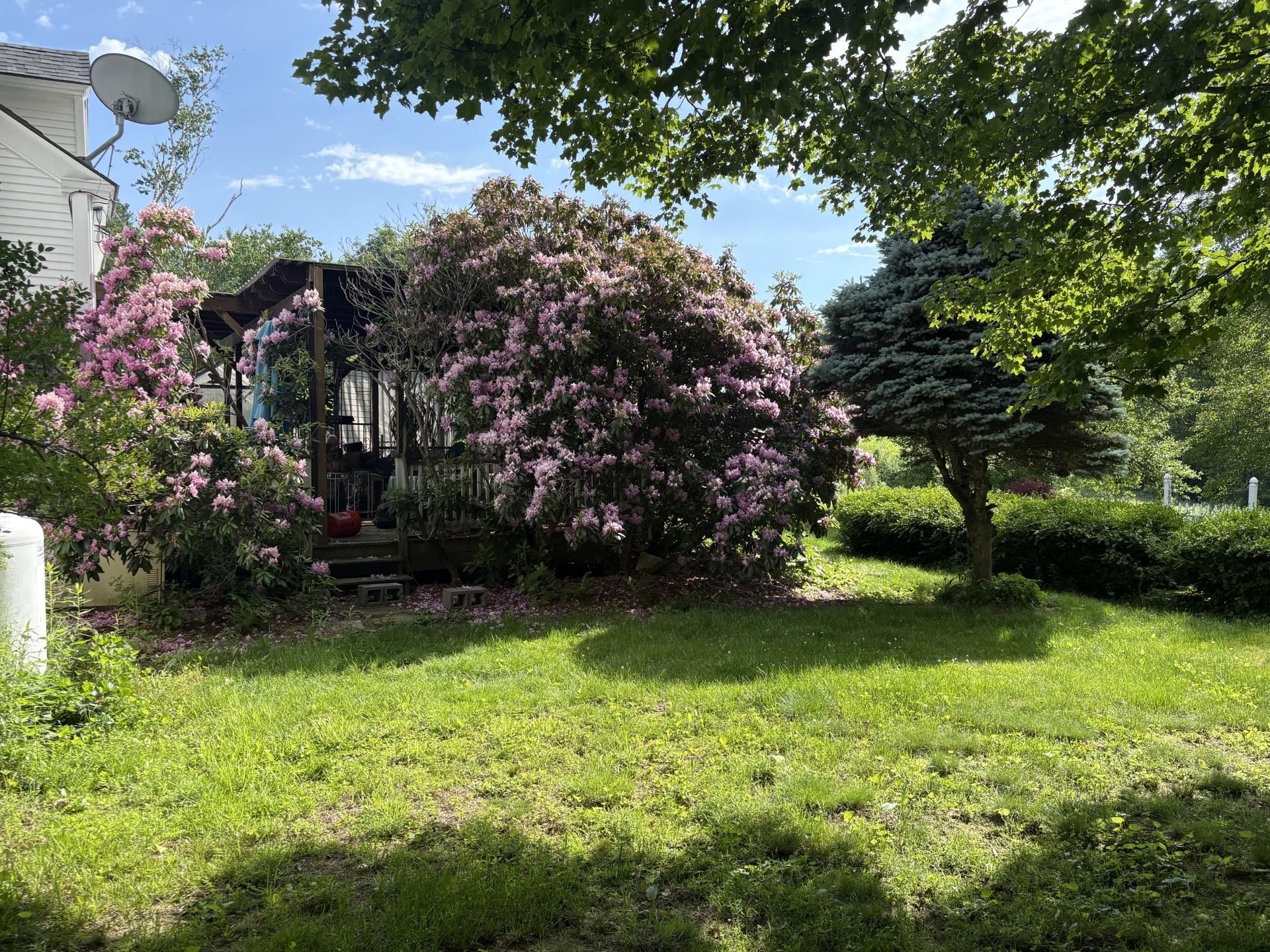 61 Orchard Rd, Chesterfield, NH 03443