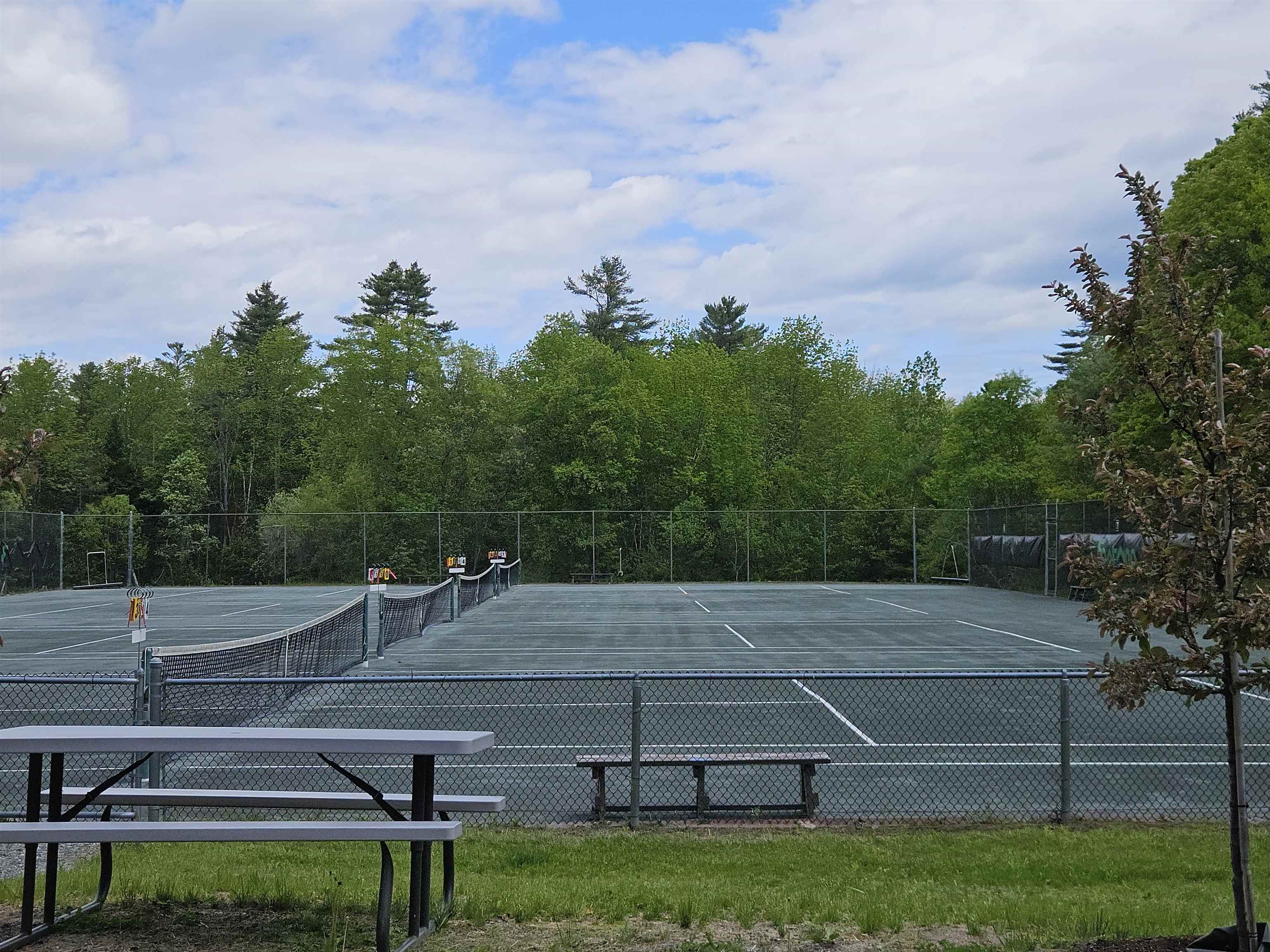 637 Marmot Ln, Grantham, NH 03753