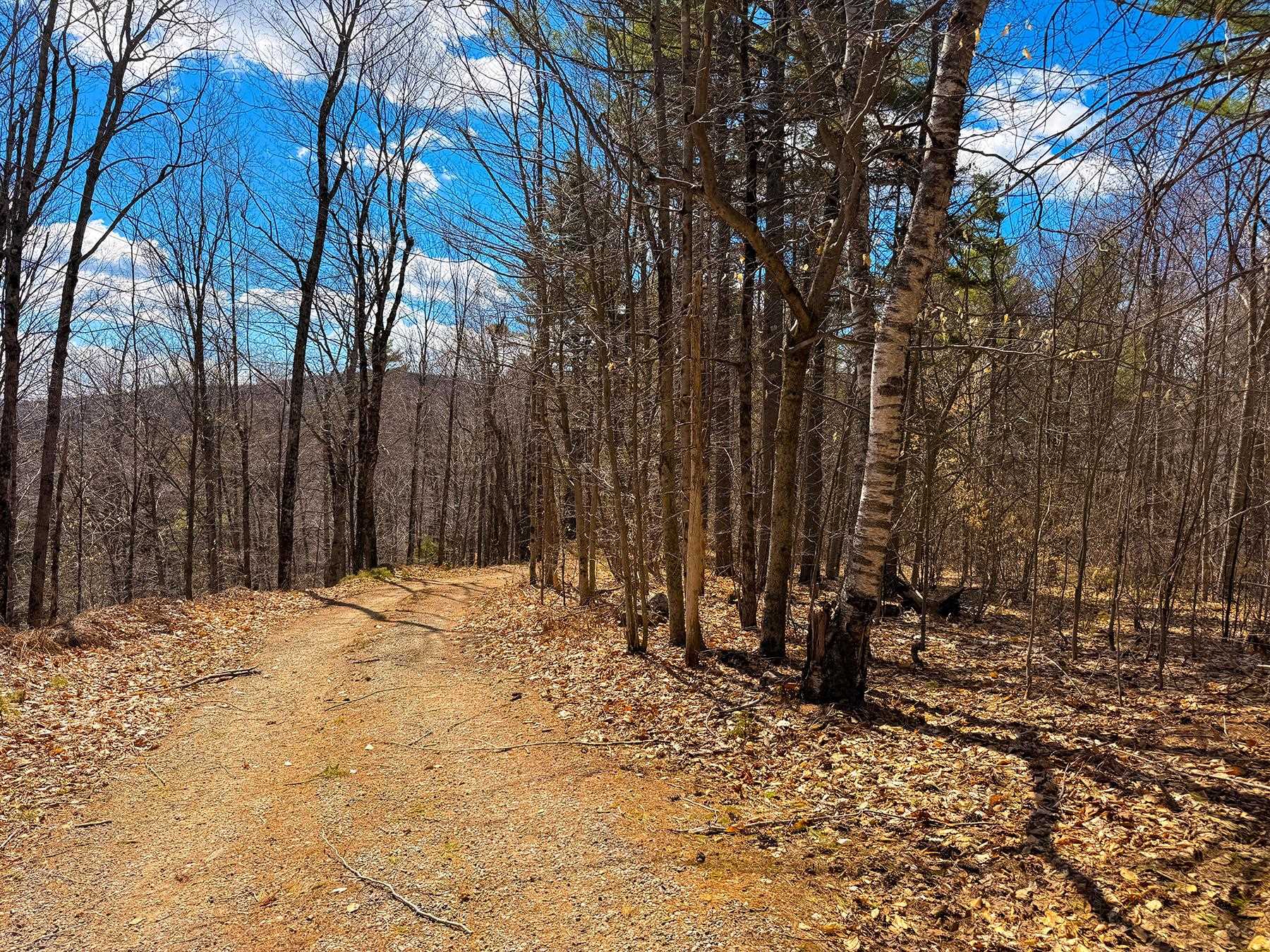 TM 407 L 35 Shem Valley Rd, Alexandria, NH 03222