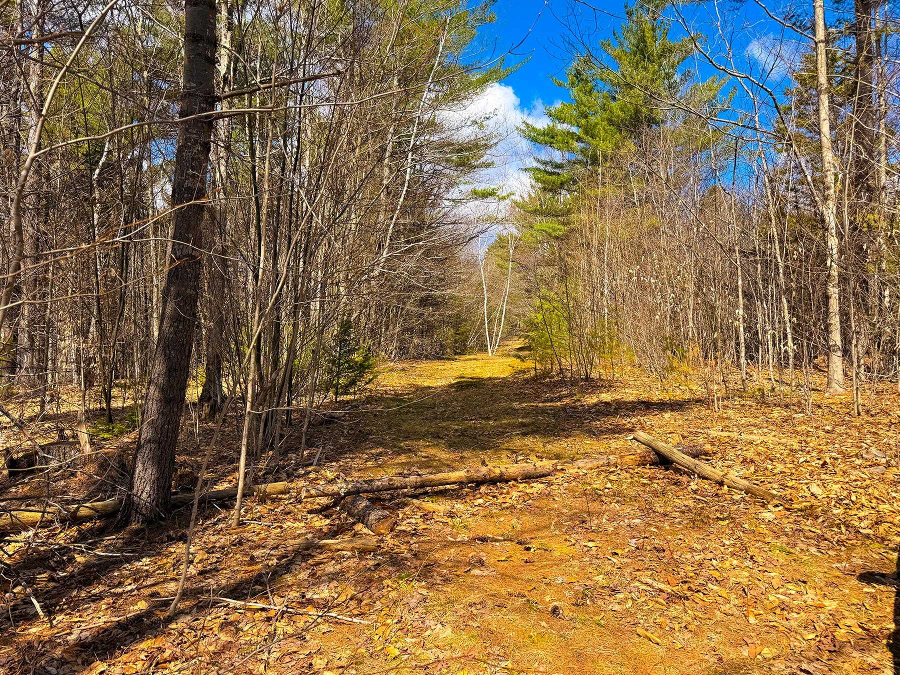 TM 407 L 35 Shem Valley Rd, Alexandria, NH 03222