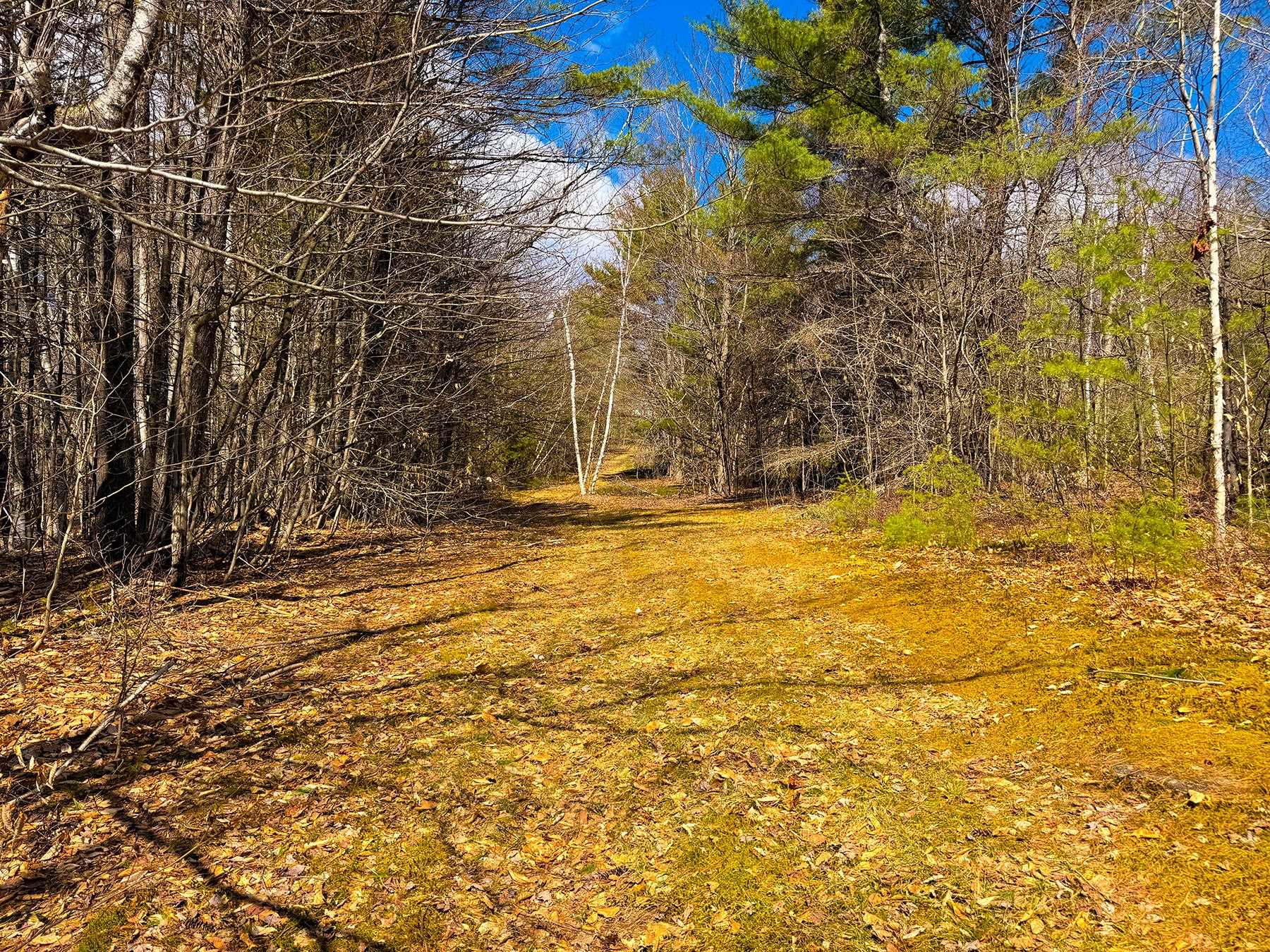 TM 407 L 35 Shem Valley Rd, Alexandria, NH 03222