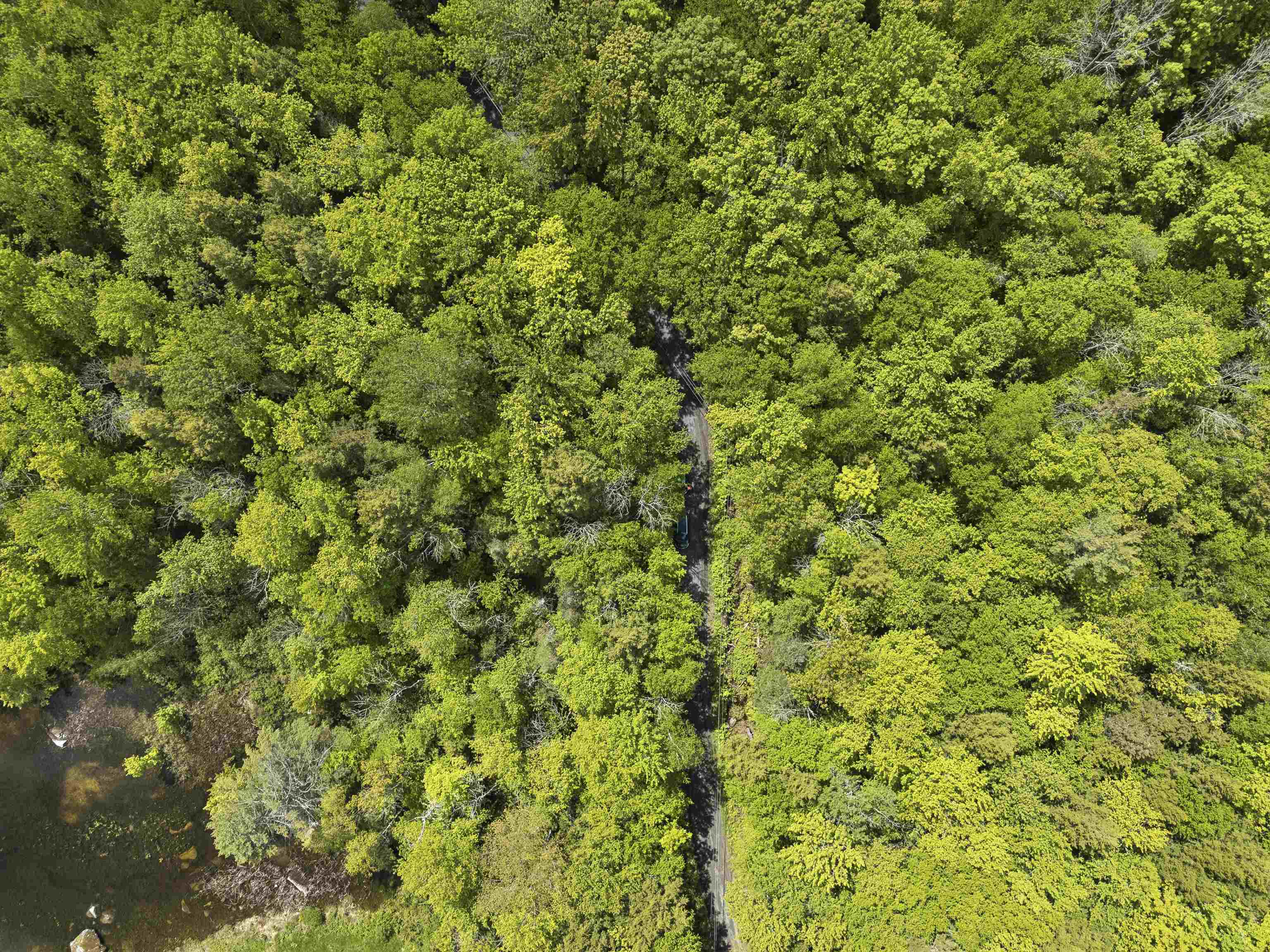 00 Cove Rd, Canaan, NH 03741