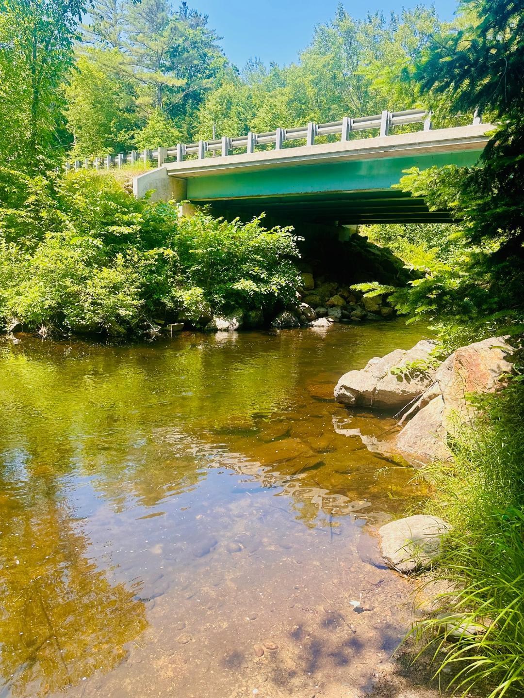 Suncook Valley Rd, Barnstead, NH 03218