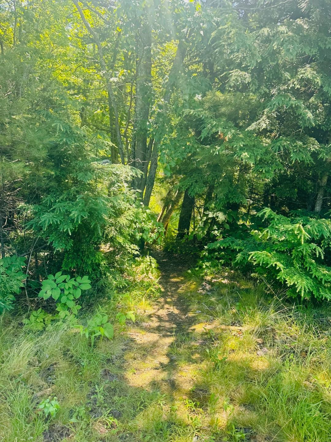 Suncook Valley Rd, Barnstead, NH 03218