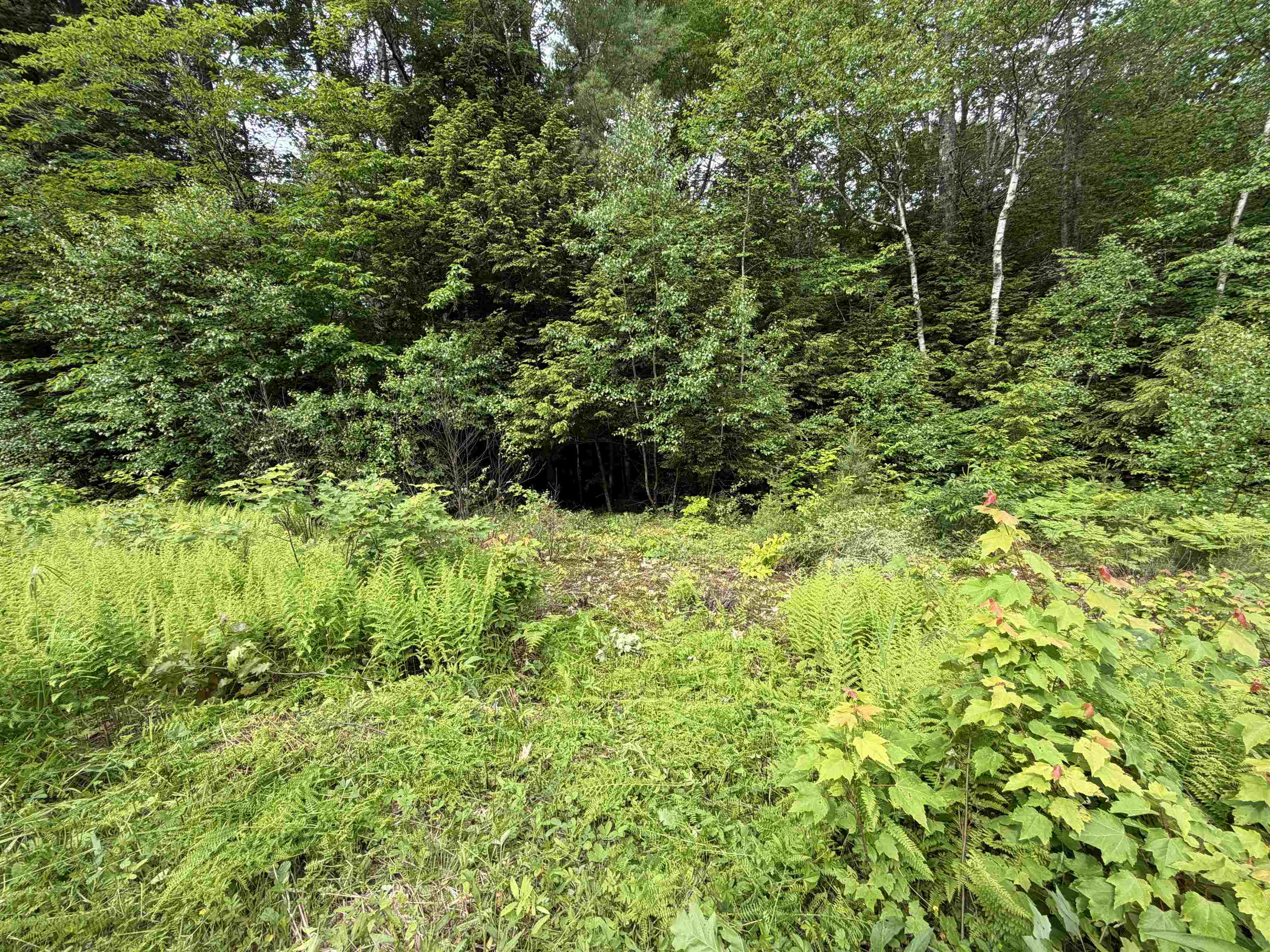 Mountain View Dr, Thornton, NH 03223