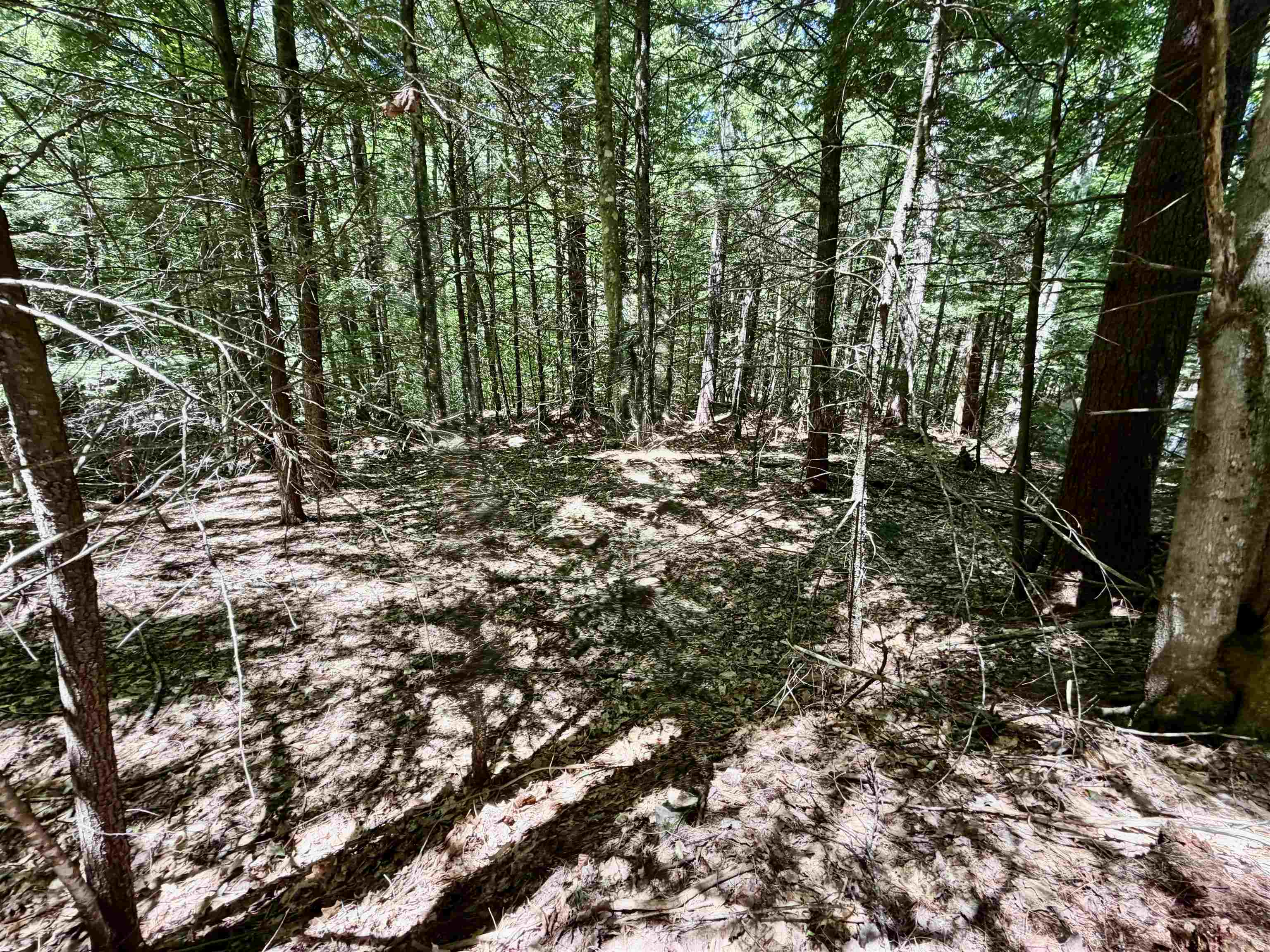 Mountain View Dr, Thornton, NH 03223