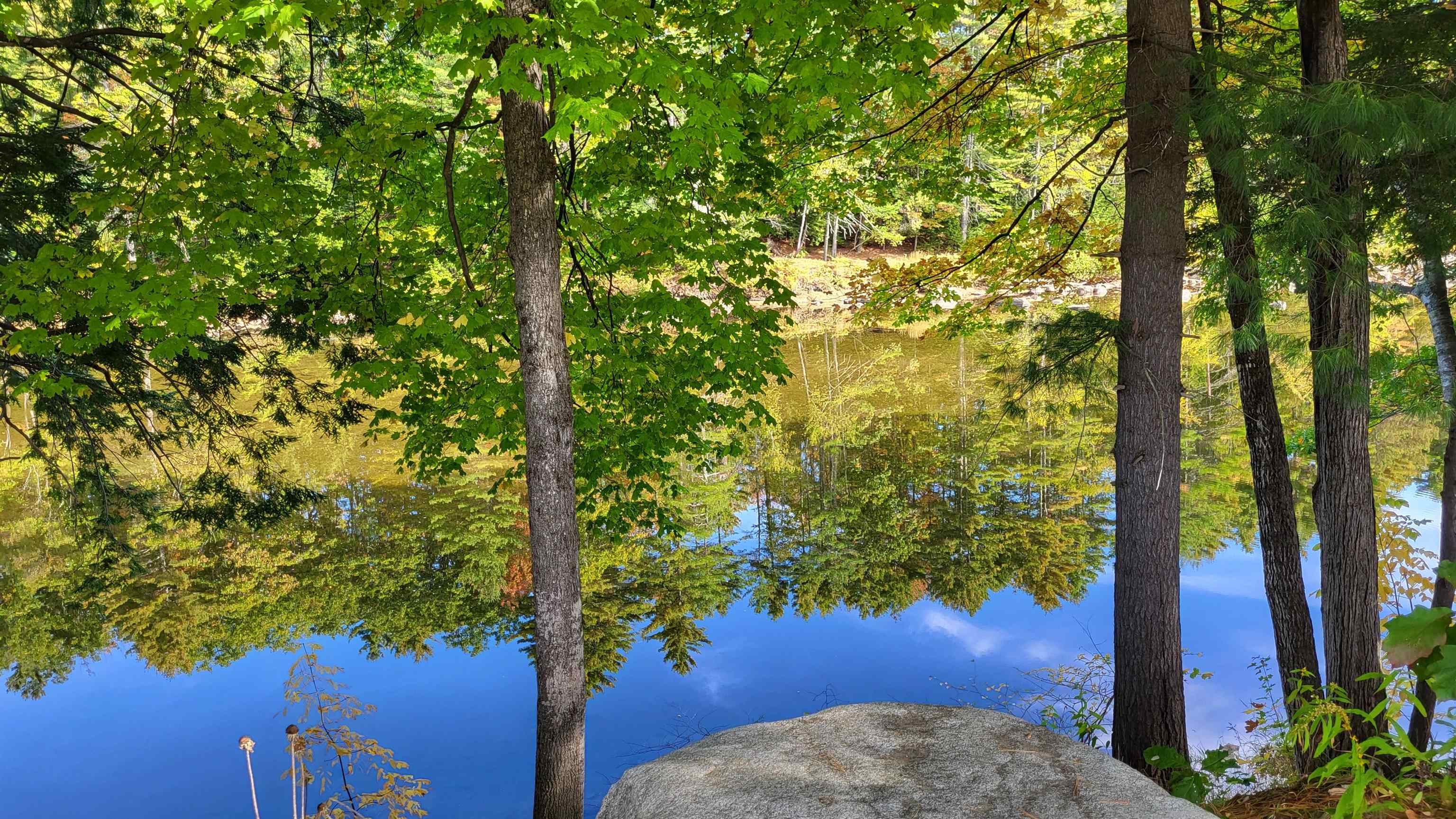 196 East Main St #5, Conway, NH 03818