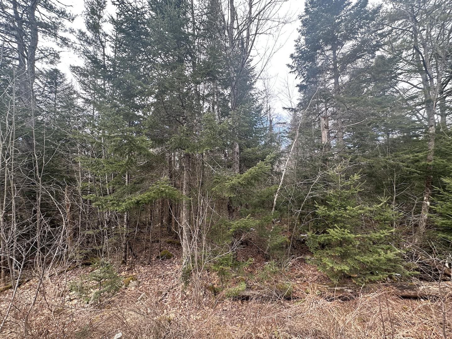 North Littleton Rd, Littleton, NH 03561