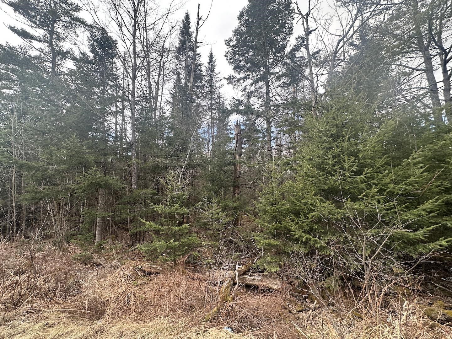 North Littleton Rd, Littleton, NH 03561