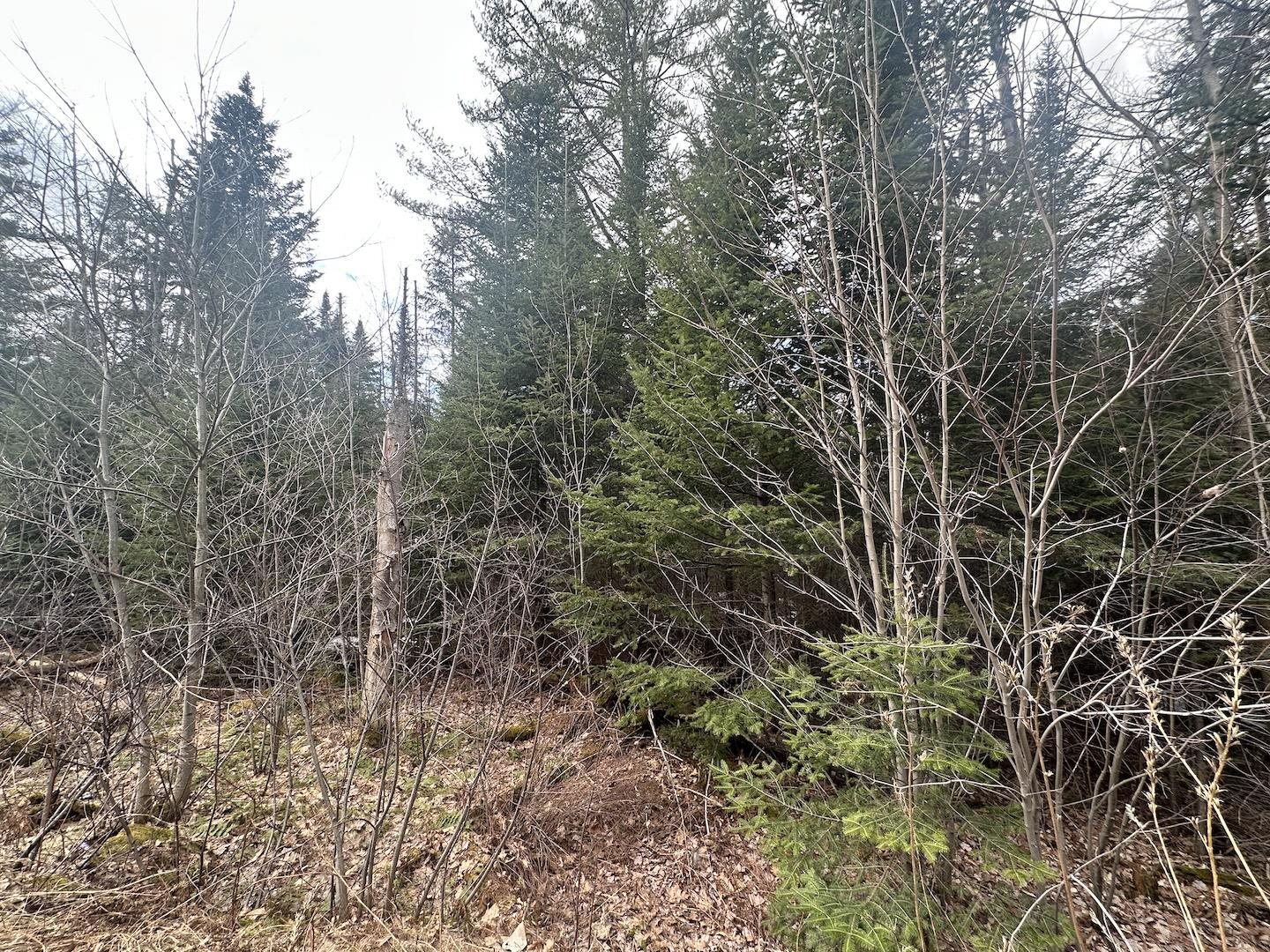 North Littleton Rd, Littleton, NH 03561
