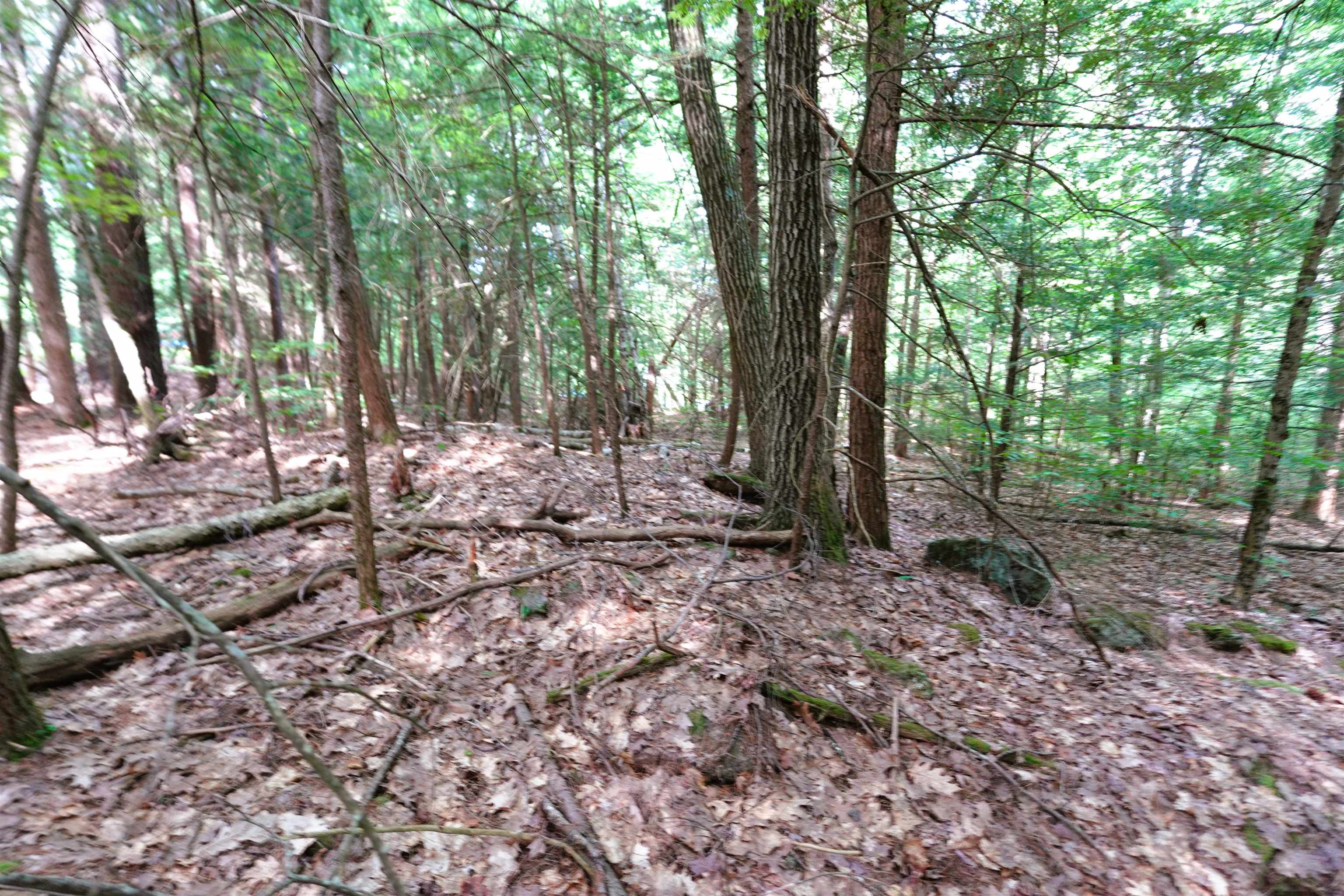 00 Forrest Dr, Marlborough, NH 03455
