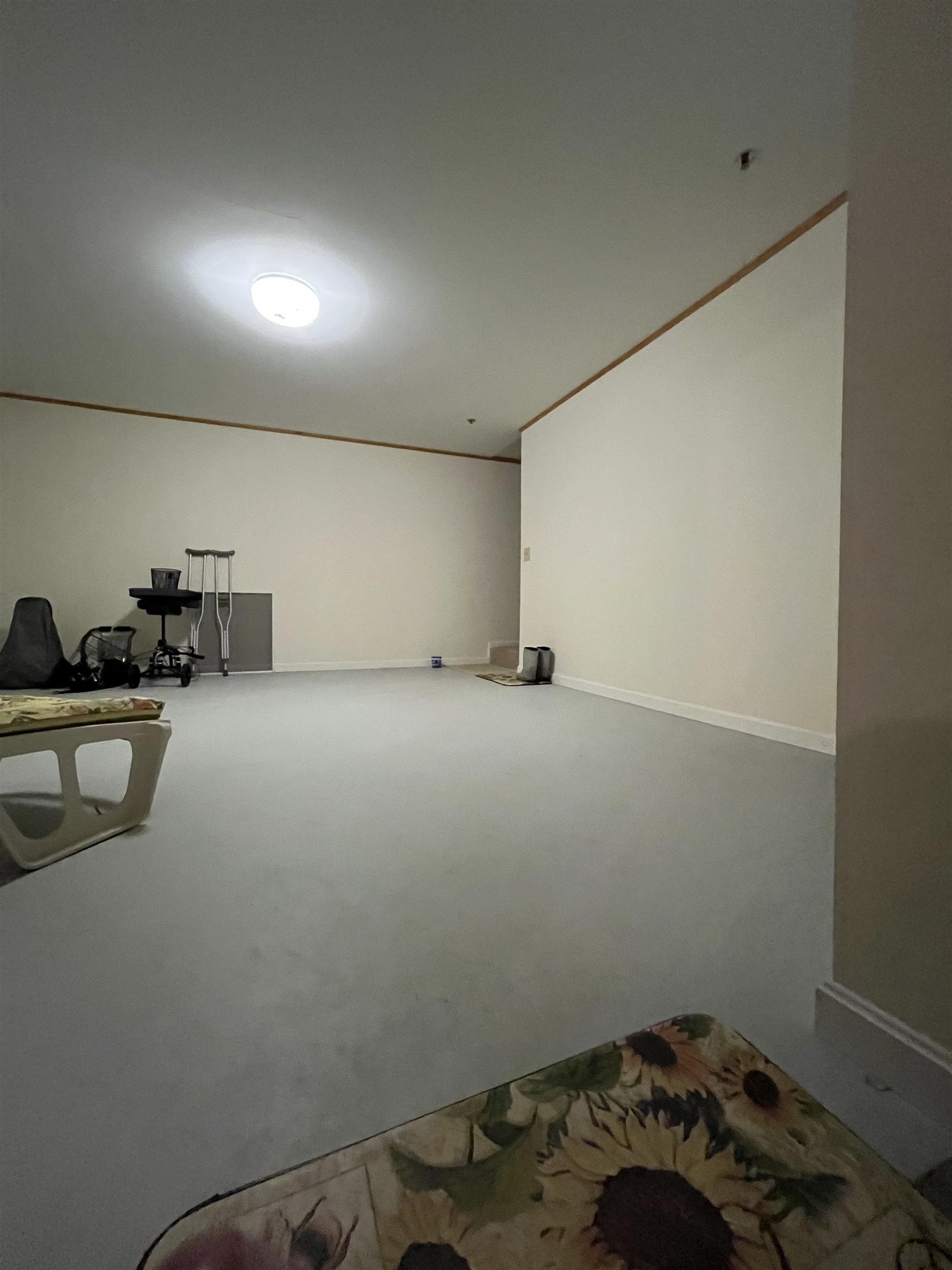 Basement 25547685