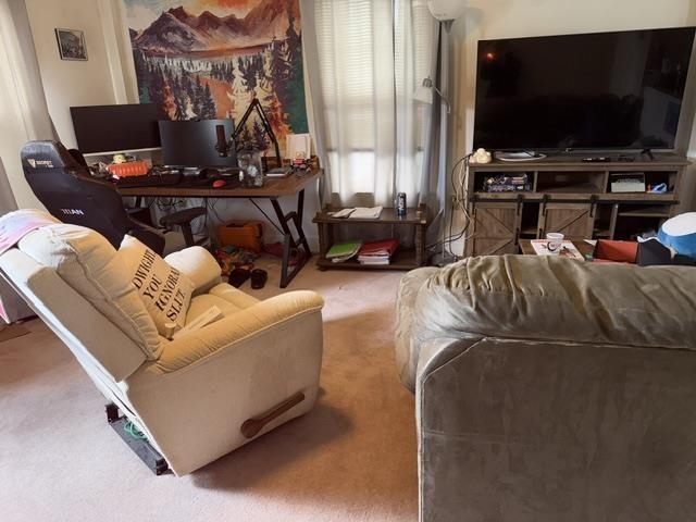 Picture 19