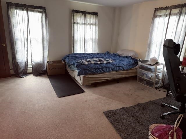 Picture 22