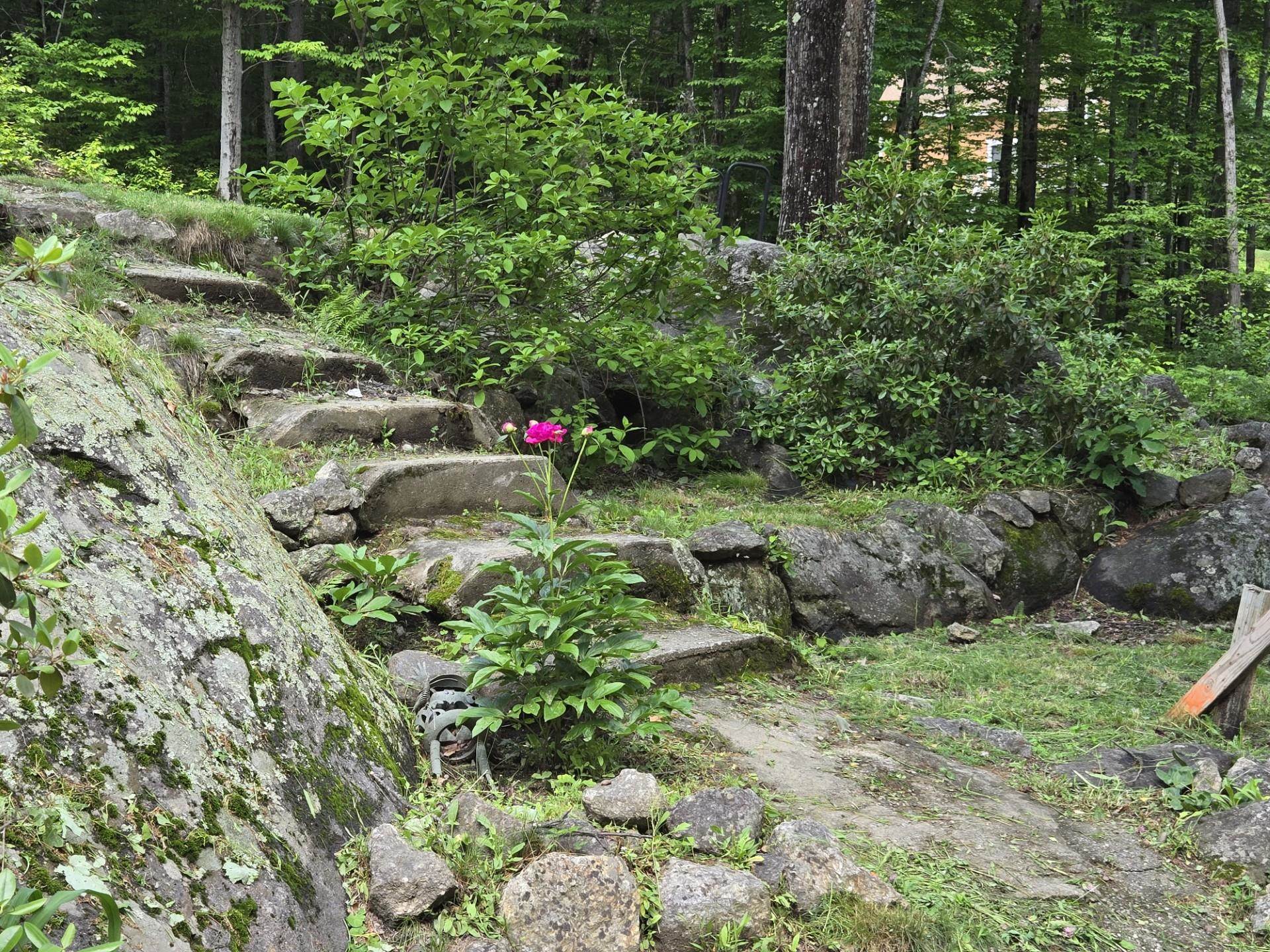 Stairs leading up upper driveway